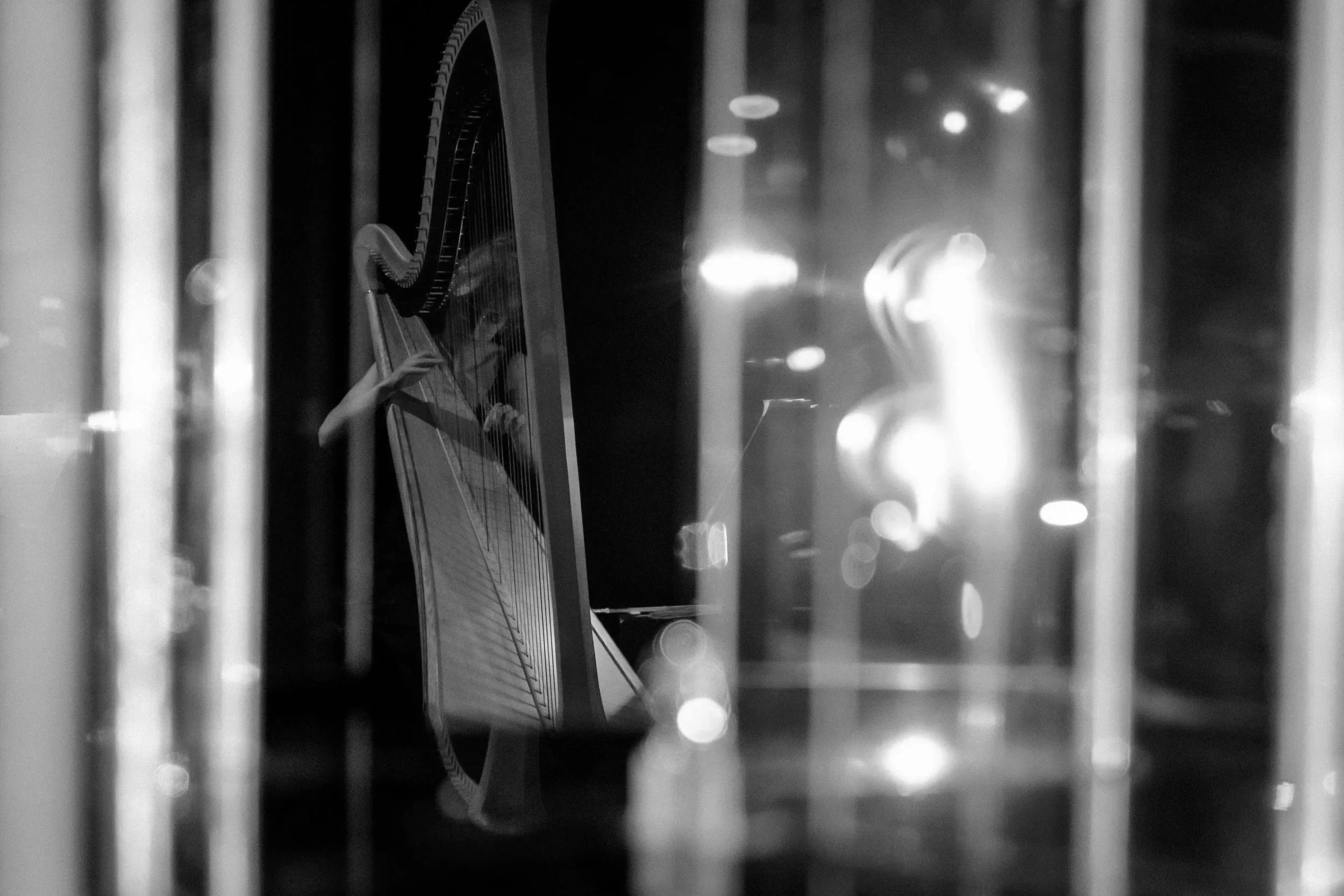 © Nika Prokopenka: Hanna Vandergoten speelt harp - Muziektheater Transparant