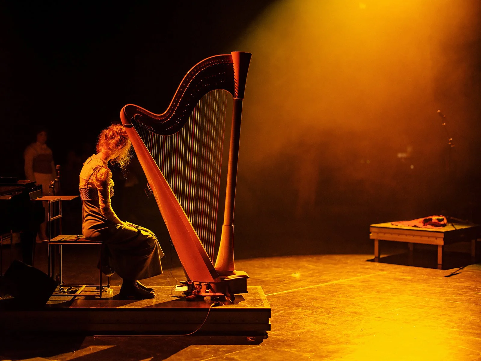 © Nika Prokopenka: Hanna Vandergoten speelt harp - Muziektheater Transparant