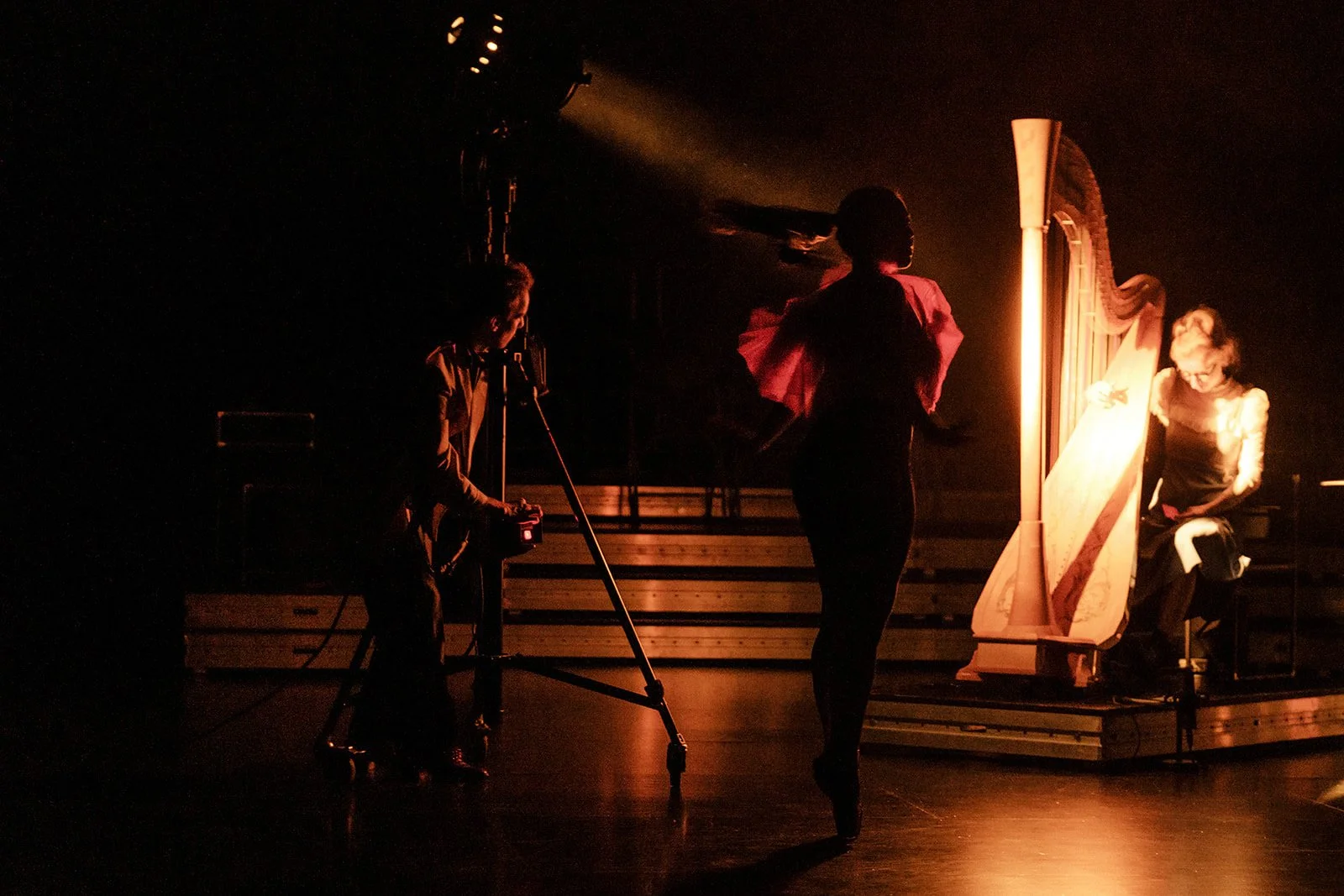 © Nika Prokopenka: Hanna Vandergoten speelt harp  met dans - Muziektheater Transparant