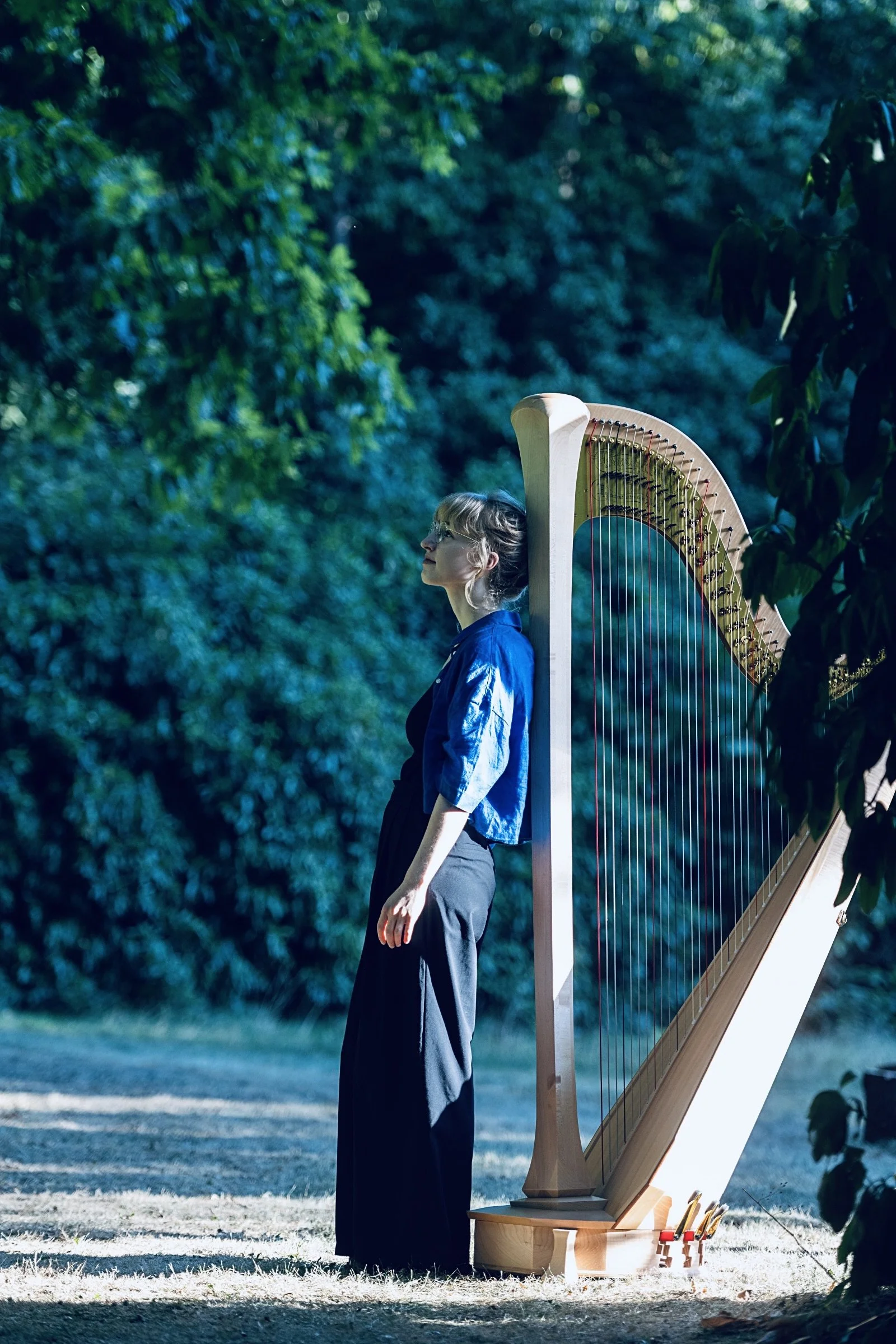 Harp Hanna Vandergoten