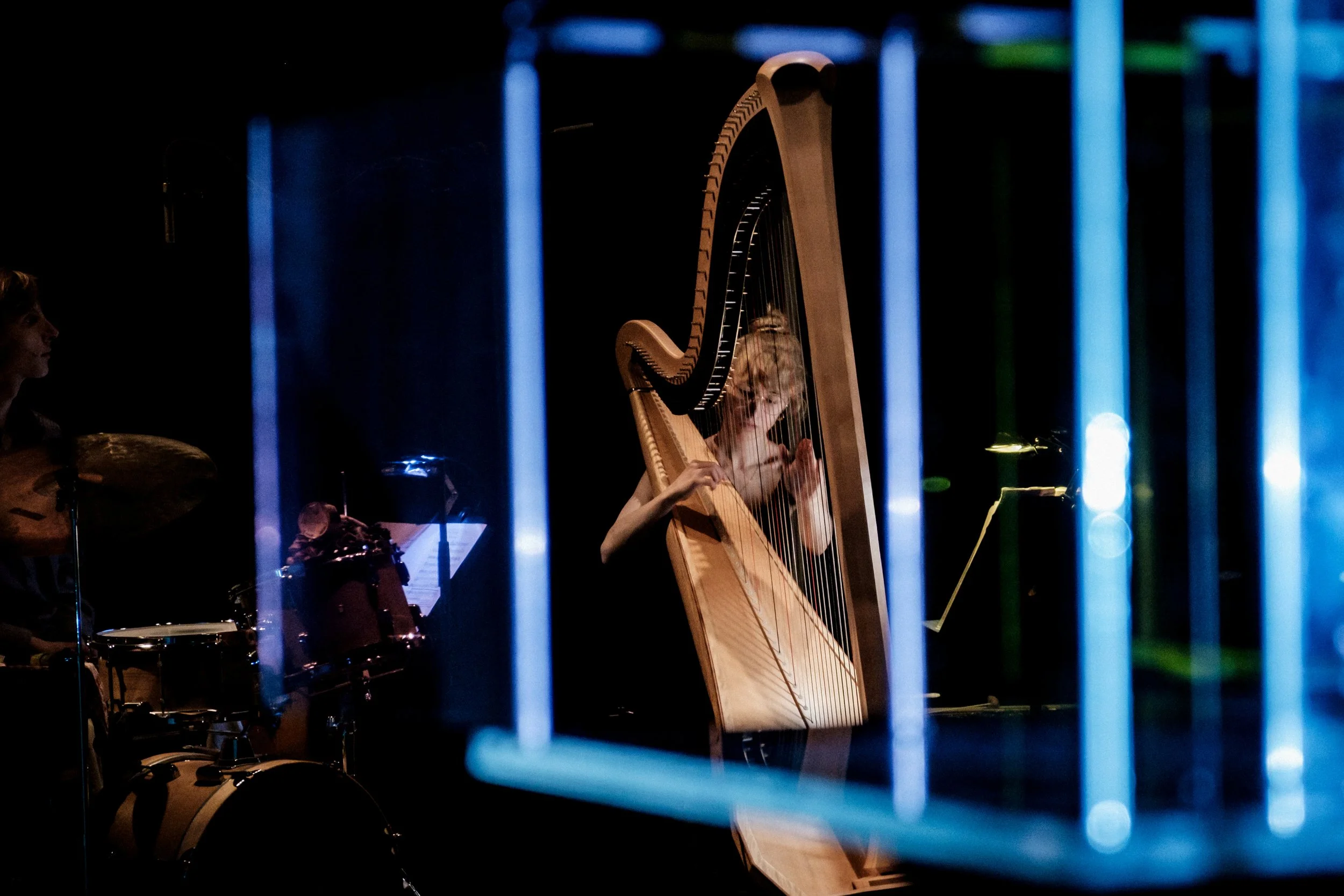 © Nika Prokopenka: Hanna Vandergoten speelt harp - Muziektheater Transparant - Withwit