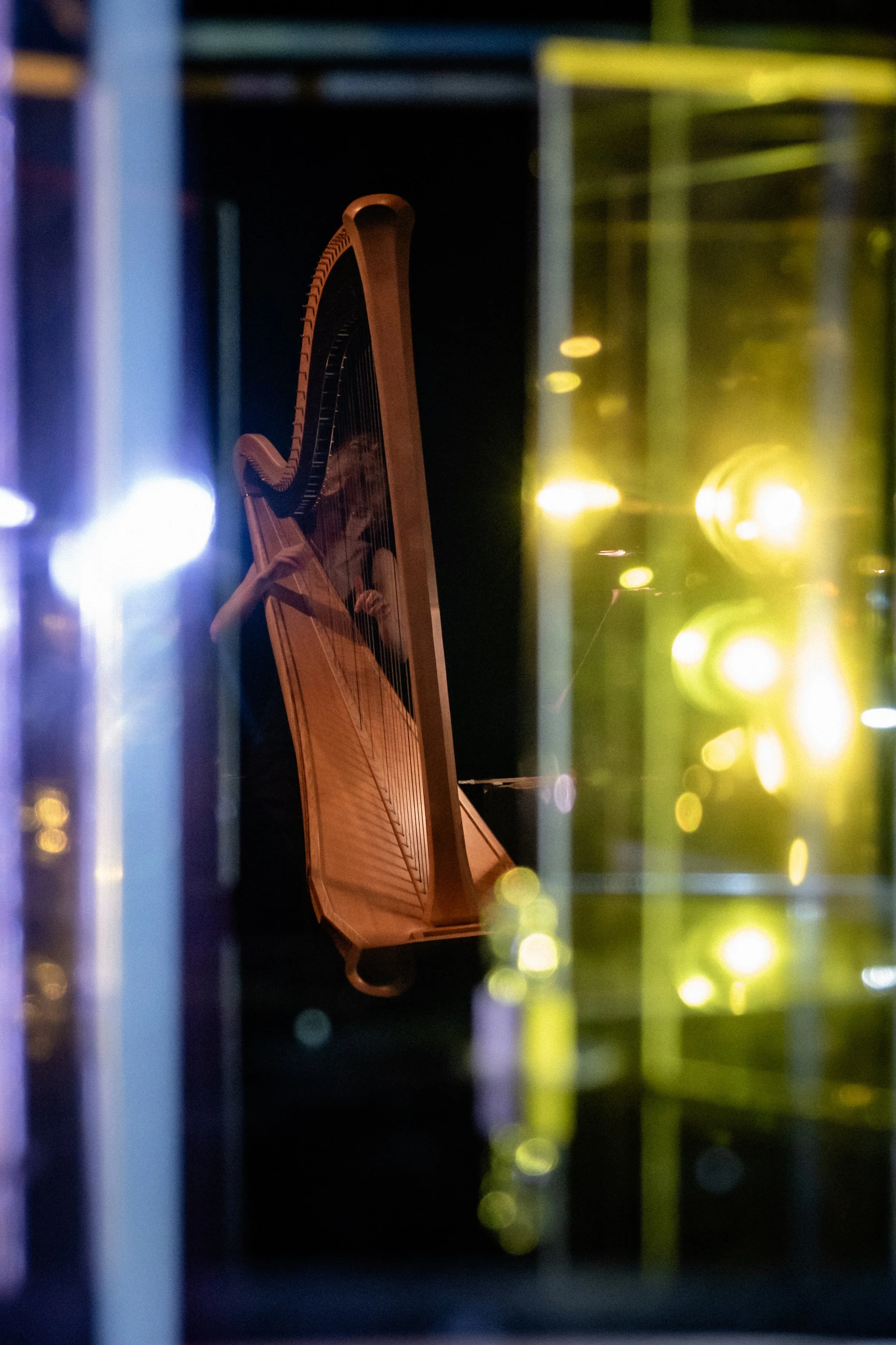 © Nika Prokopenka: Hanna Vandergoten speelt harp - Muziektheater Transparant