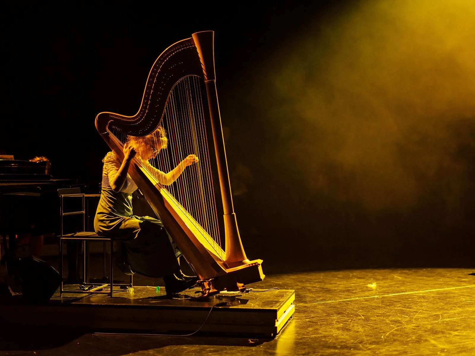 © Nika Prokopenka: Hanna Vandergoten speelt harp - Muziektheater Transparant