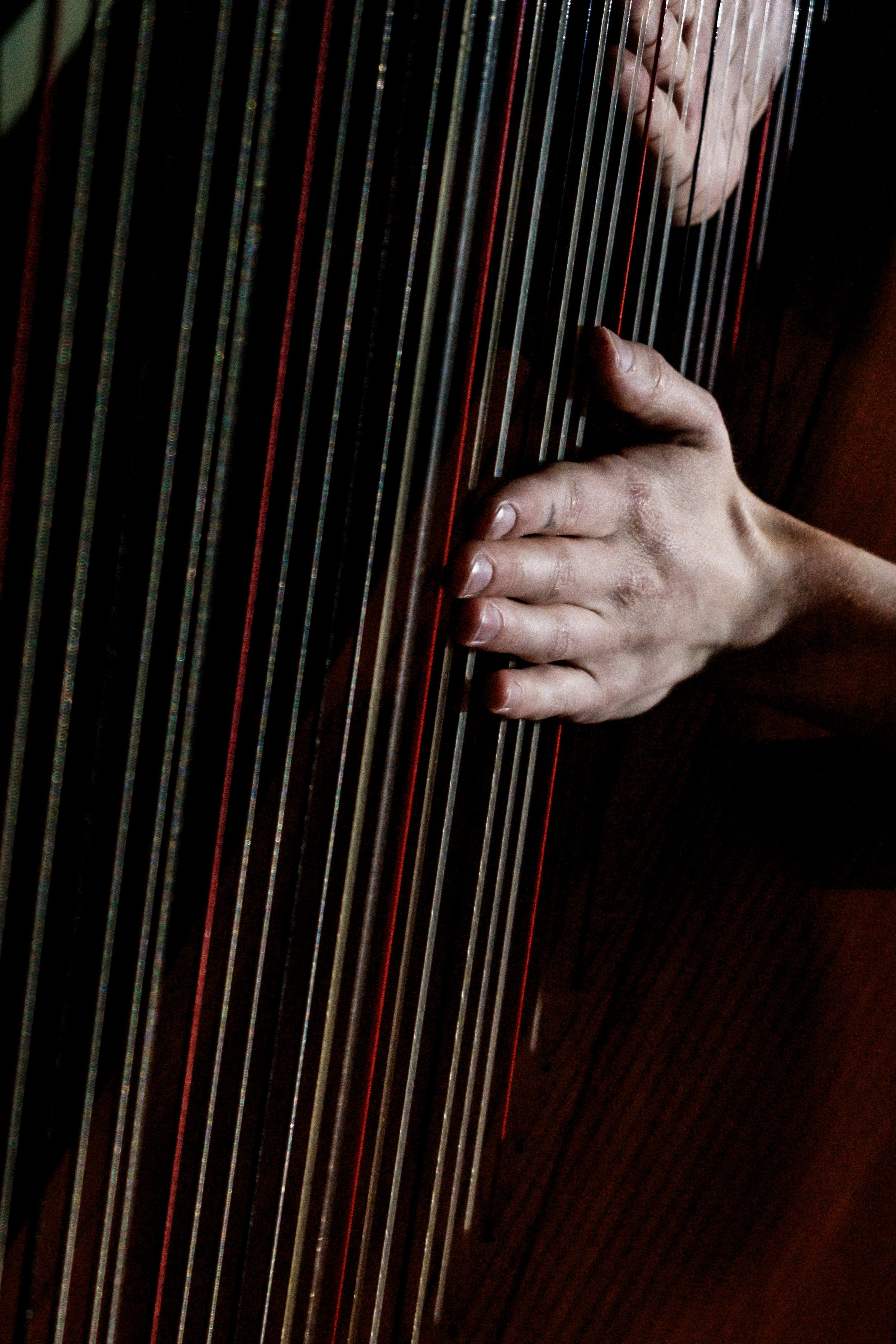 © Nika Prokopenka: Hanna Vandergoten speelt harp - Muziektheater Transparant