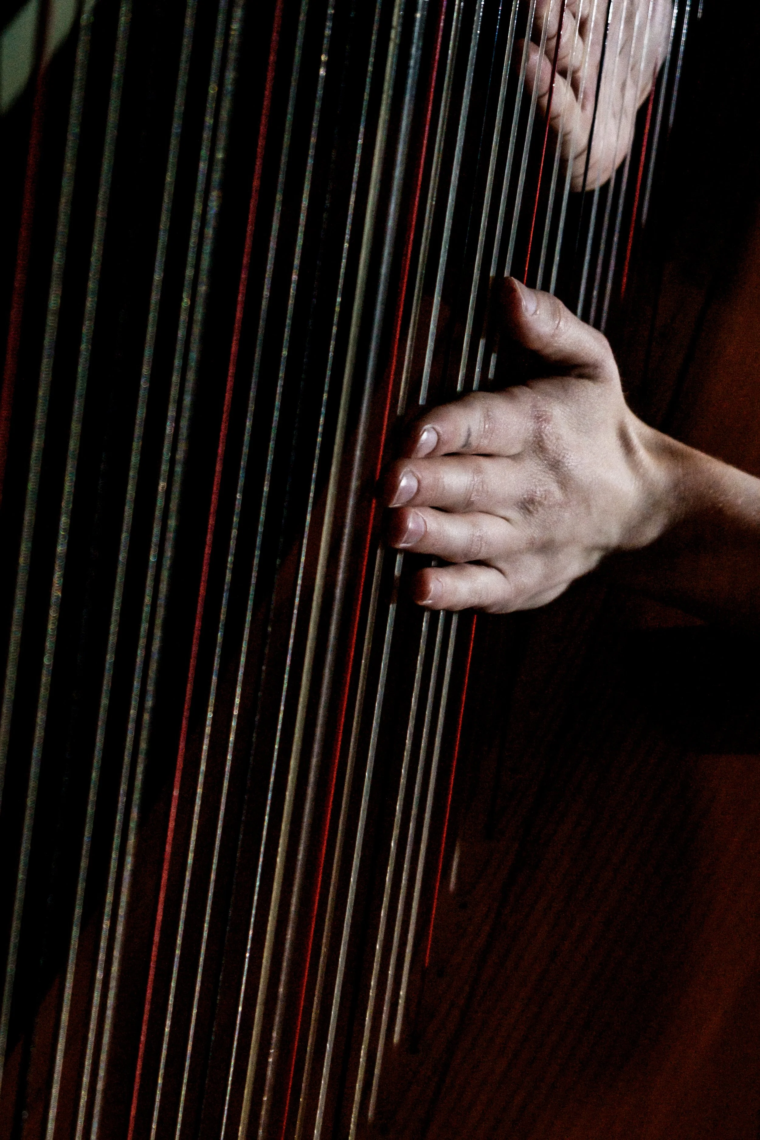 Hanna Vandergoten Harpiste met een missie