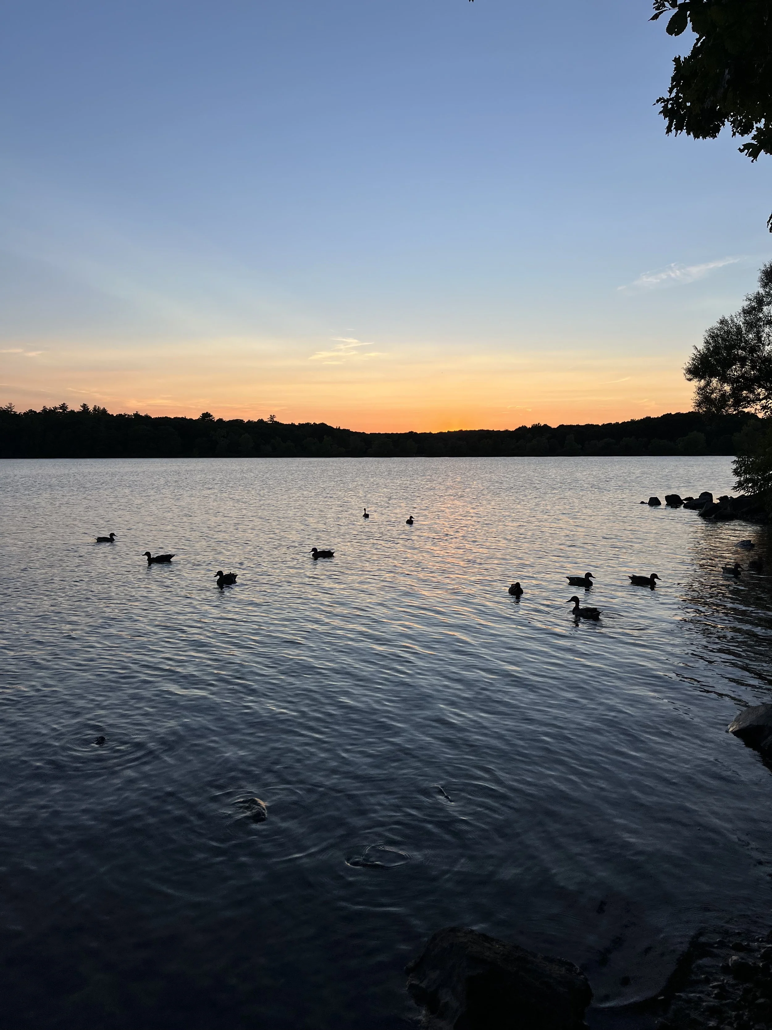 Sunset over Horn Pond in Woburn, Massachusetts