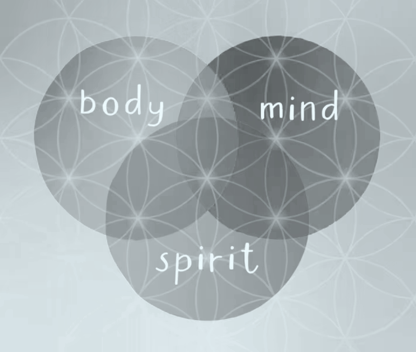 Concentric circles representing the 'body,' 'mind,' and 'spirit'