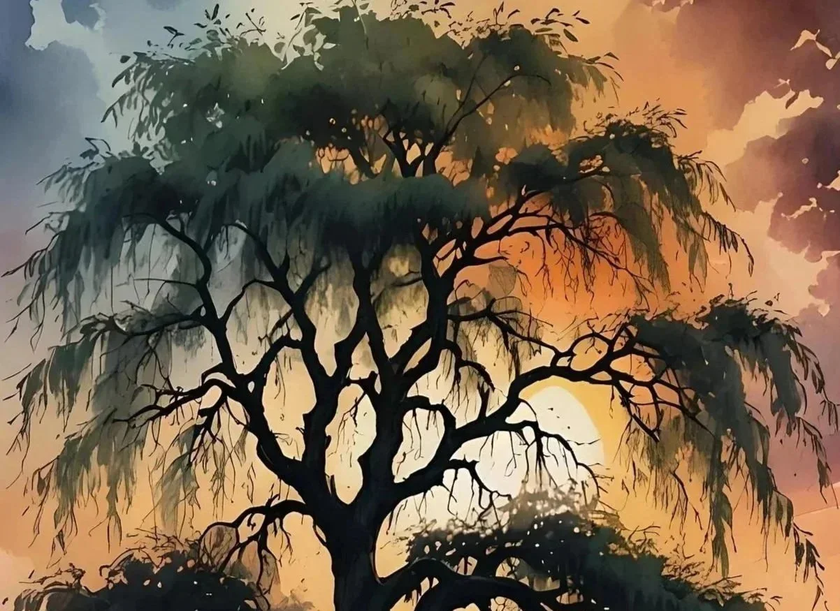 Whispers of Willows 05/01/2026