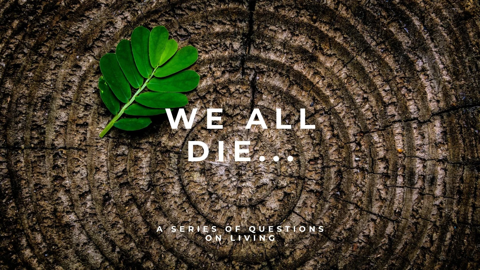 A green leaf on a log cross-section with text that reads 'We All Die...' and smaller text underneath saying 'A series of questions on living.'