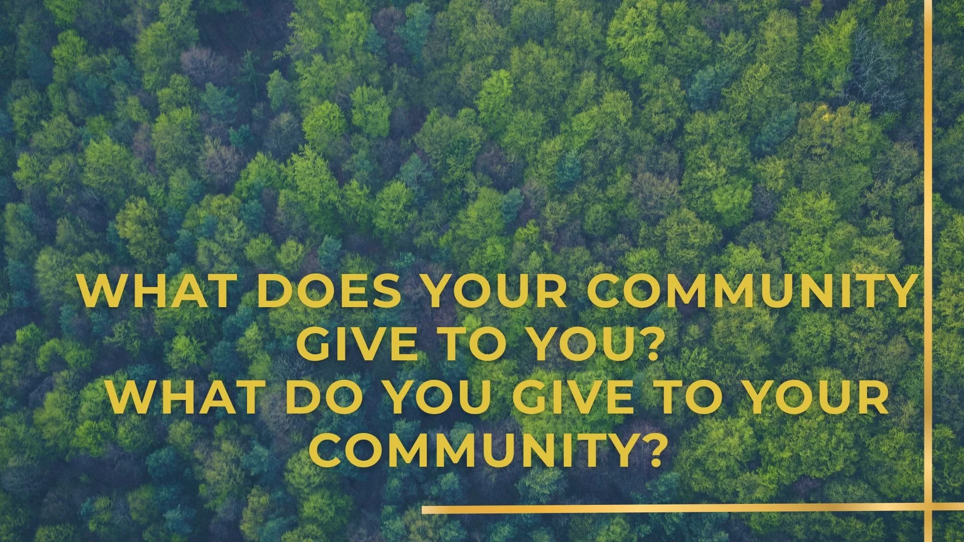 Aerial view of a dense green forest with a quote in yellow text asking, "What does your community give to you? What do you give to your community?" The text is overlaid on the top of the forest image, with a thin yellow border around the right and bo