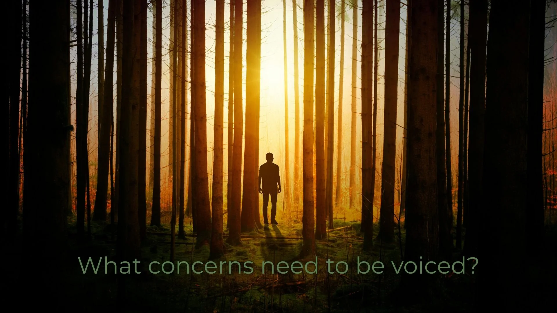 A silhouette of a person walking in a dense forest with tall trees during sunset or sunrise, with warm light filtering through the trees and the text 'What concerns need to be voiced?' at the bottom.