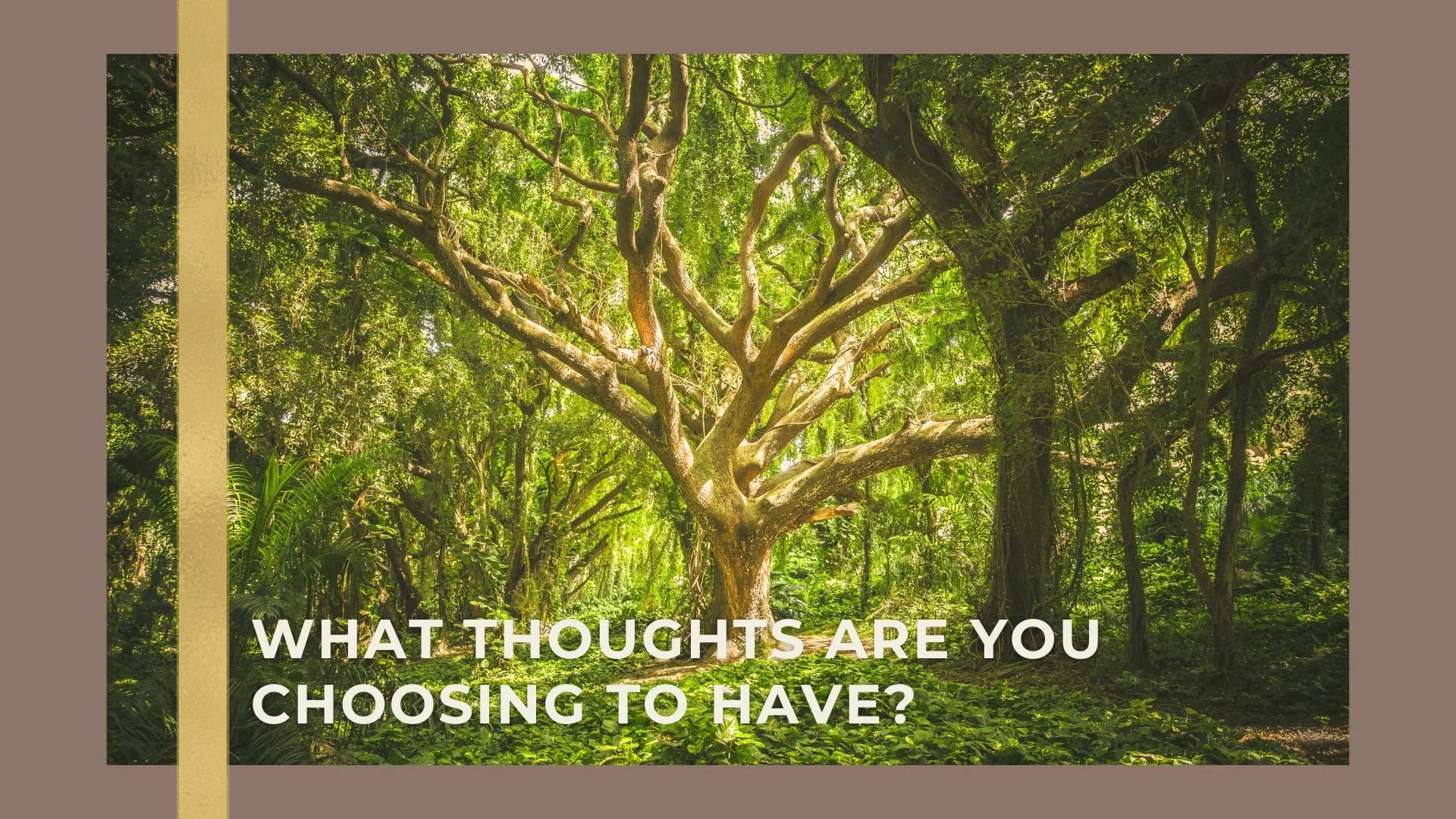 A large green tree with multiple twisting branches in a lush jungle setting, with sunlight filtering through dense foliage, and the question "What thoughts are you choosing to have?" written in white bold letters at the bottom.