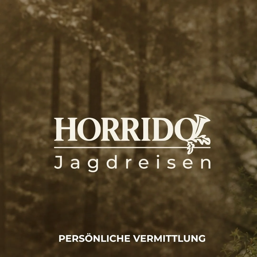 Mehr als nur eine Jagdreise.
Neue Reviere. Neue M&ouml;glichkeiten. Neue Perspektiven.
Bleibt gespannt.

#Jagd #Jagdreisen #ComingSoon #Vermittlung