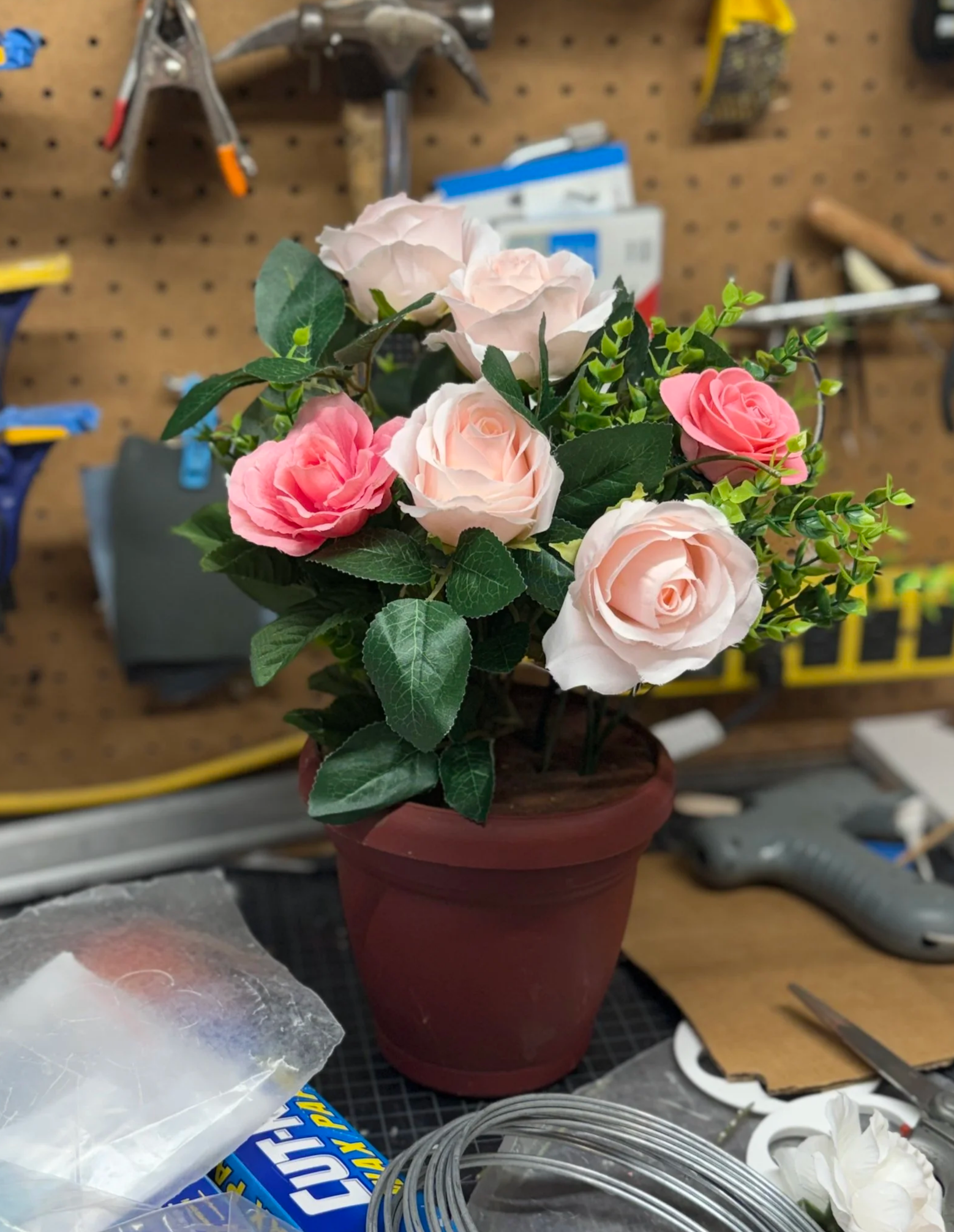 Plant with Edible Flower - Rhinoceros - 2026