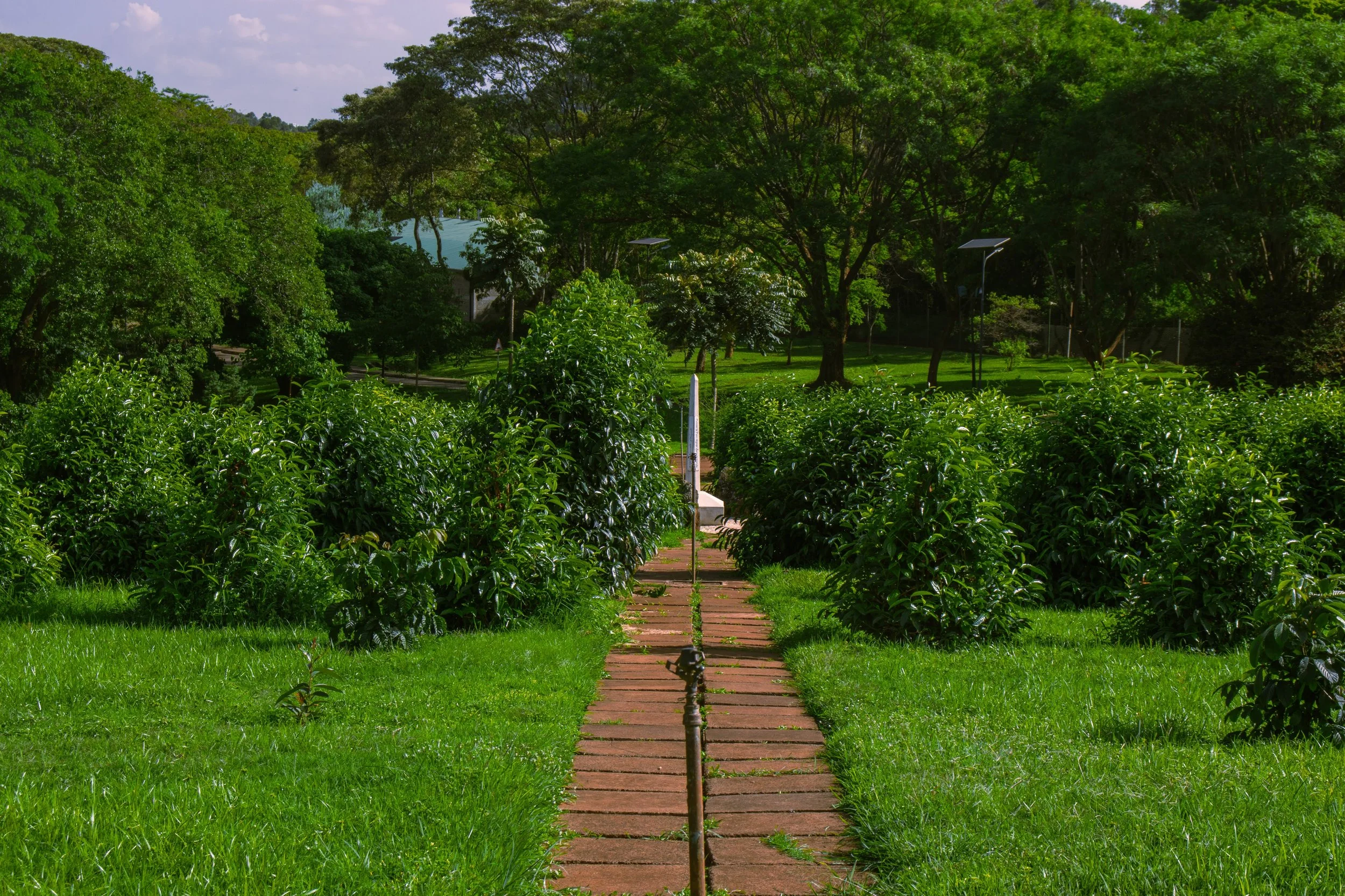 UN Kenya-3.jpg