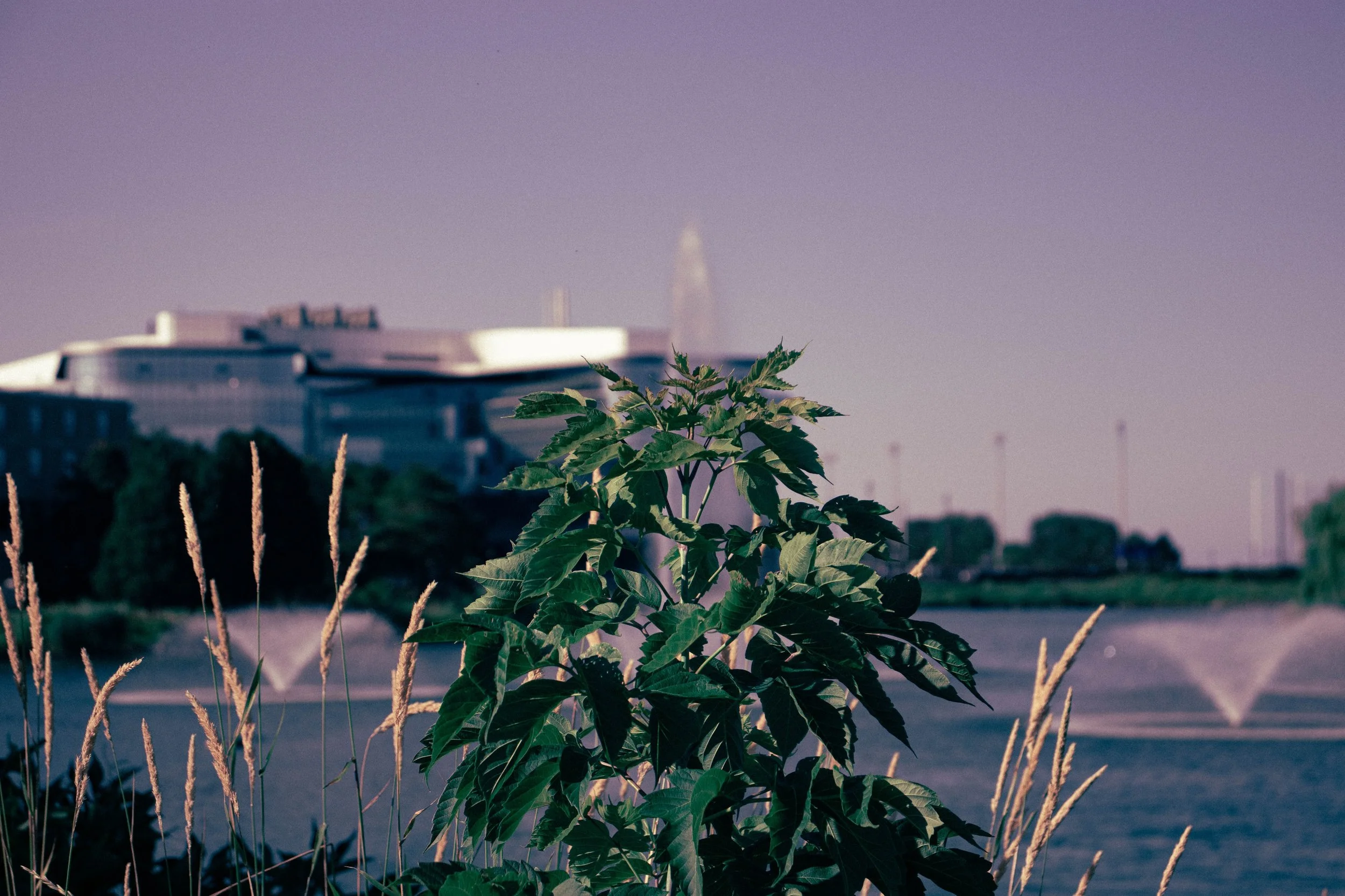 LQ_Northwestern_Uni-16.jpg