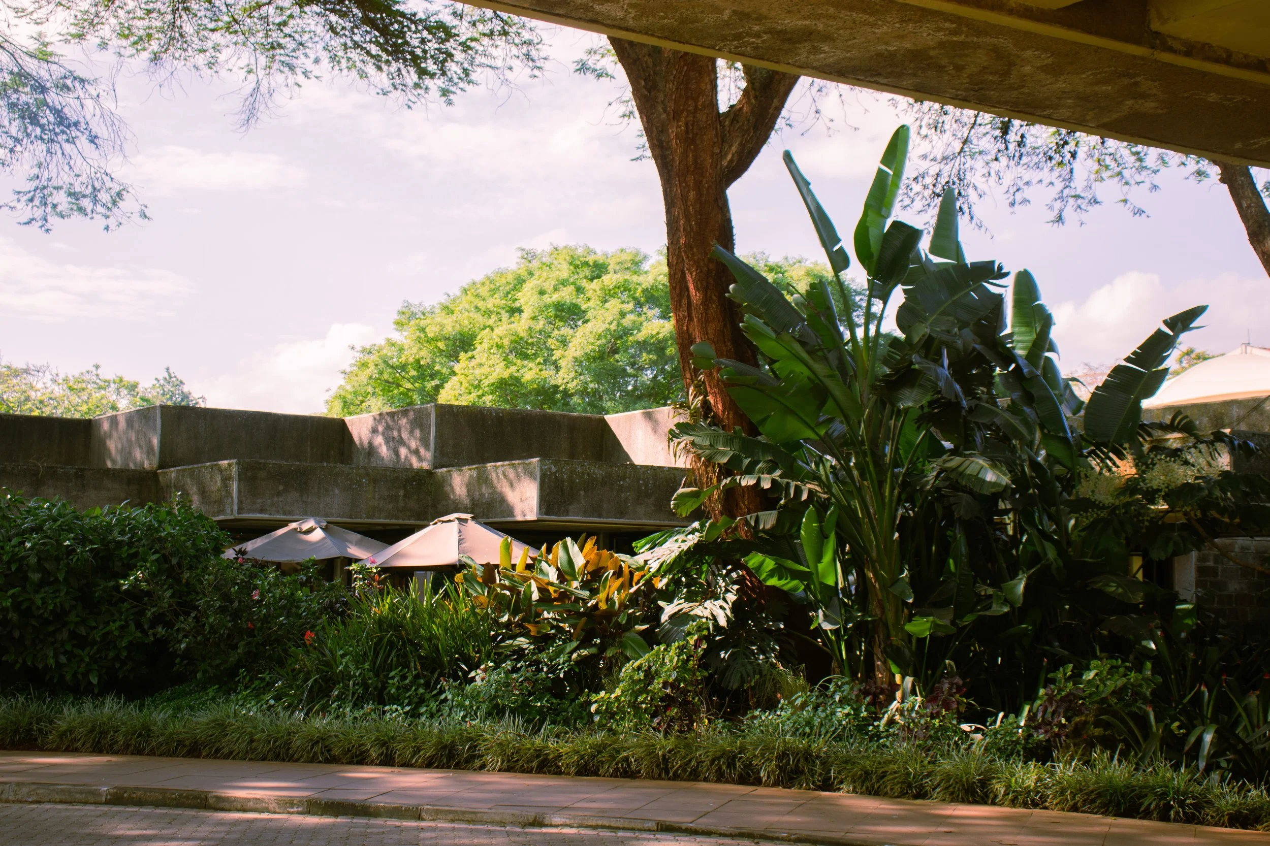 UN Kenya-4.jpg