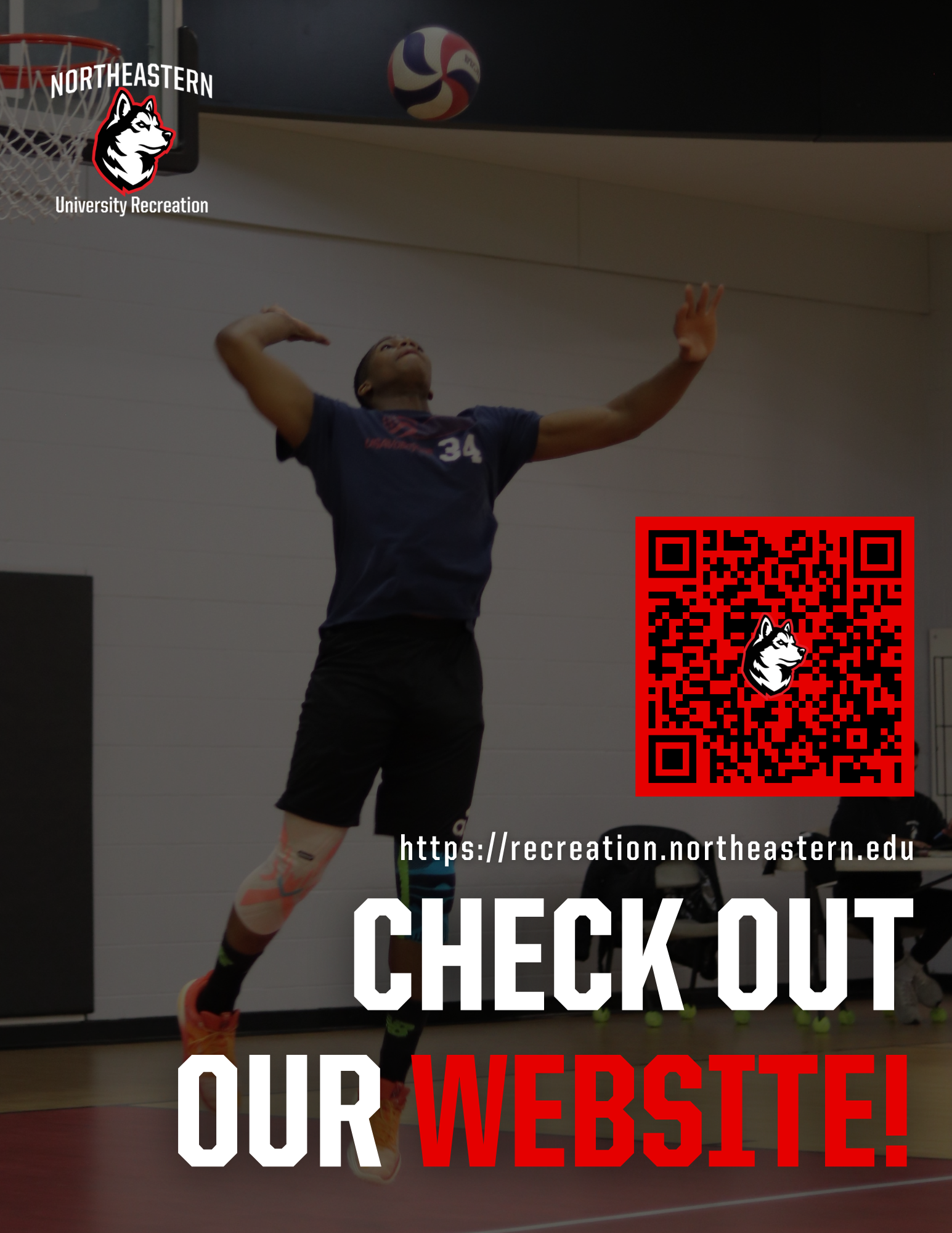 Check Out Our Website - New 3.png