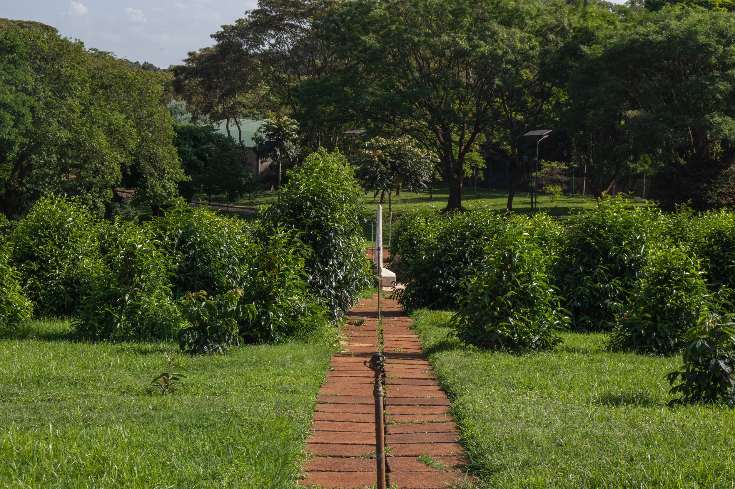 UN Kenya-8(1).jpg
