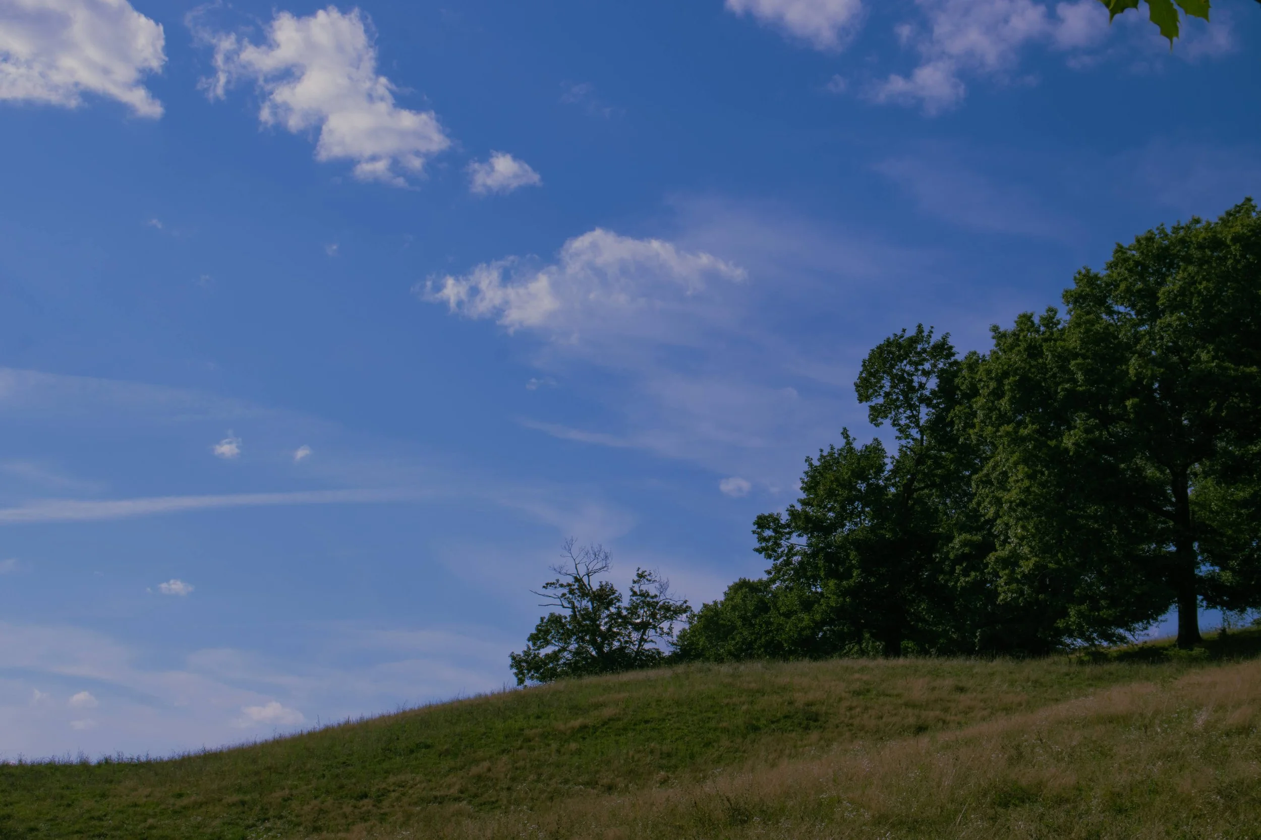 Brancroft_s Castle-52.jpg