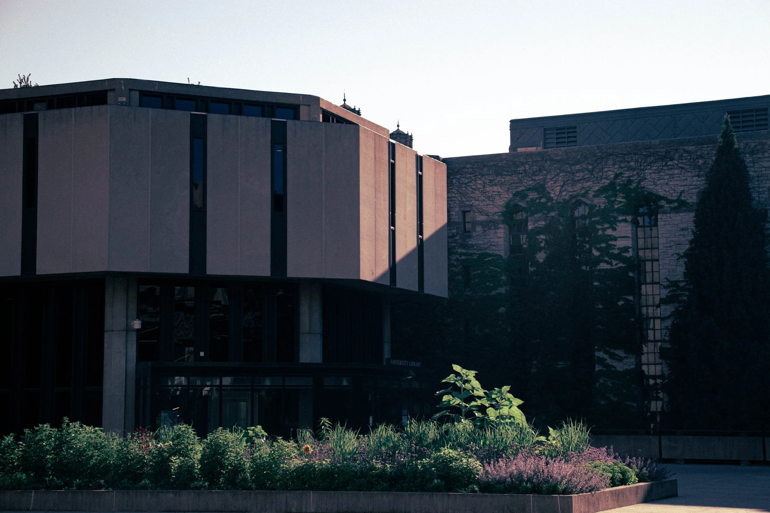 LQ_Northwestern_Uni-26.jpg