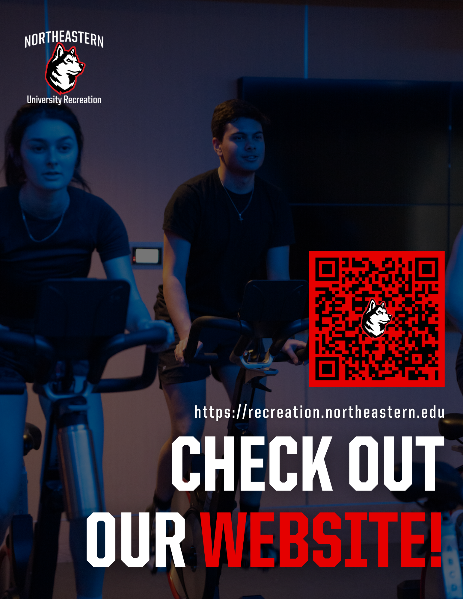 Check Out Our Website - New 4.png