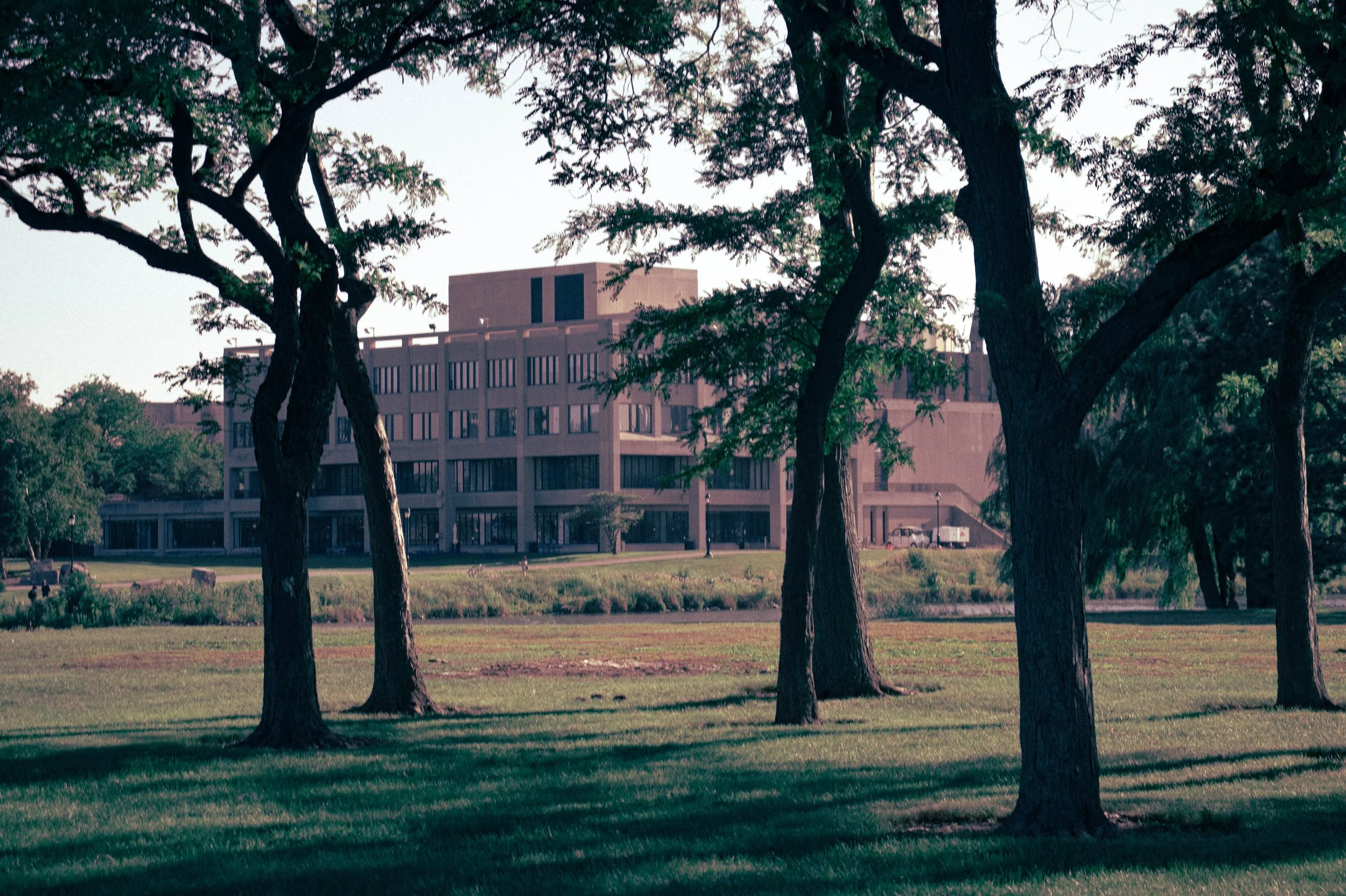 LQ_Northwestern_Uni-19.jpg