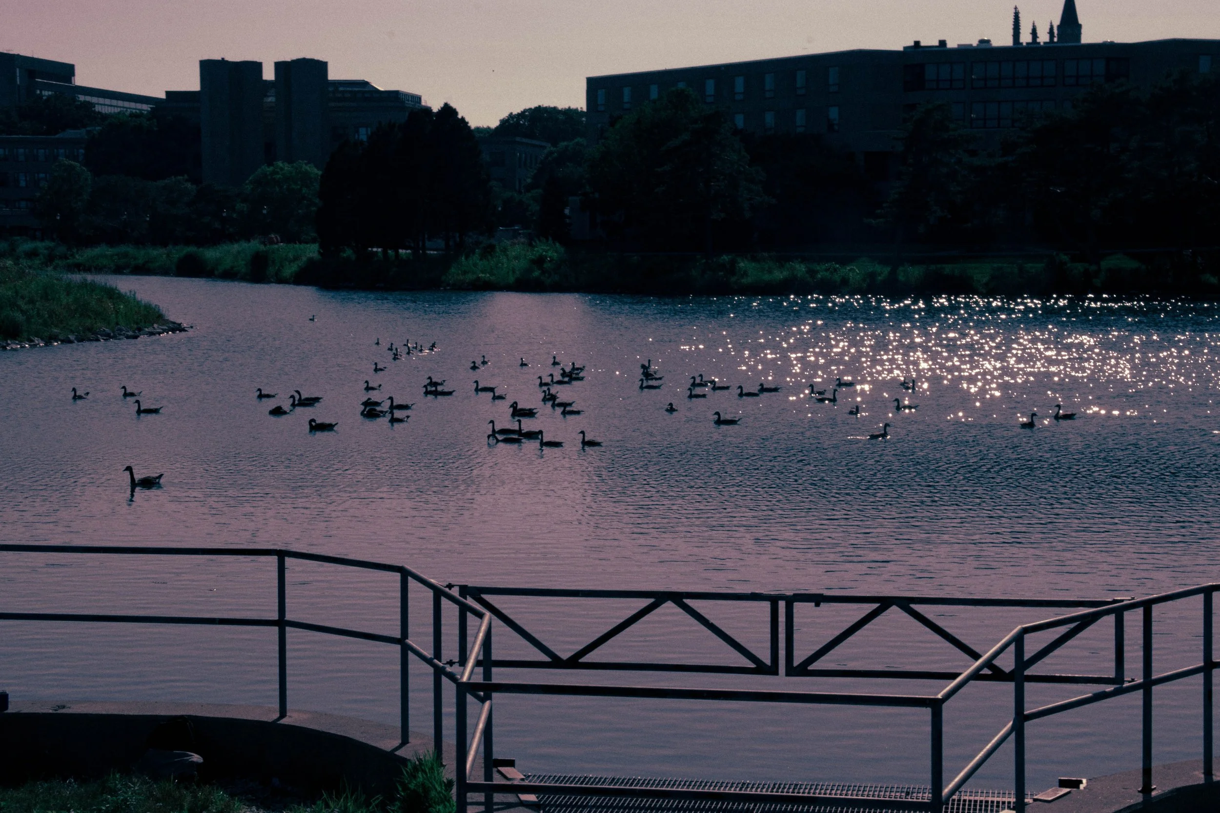 LQ_Northwestern_Uni-7.jpg