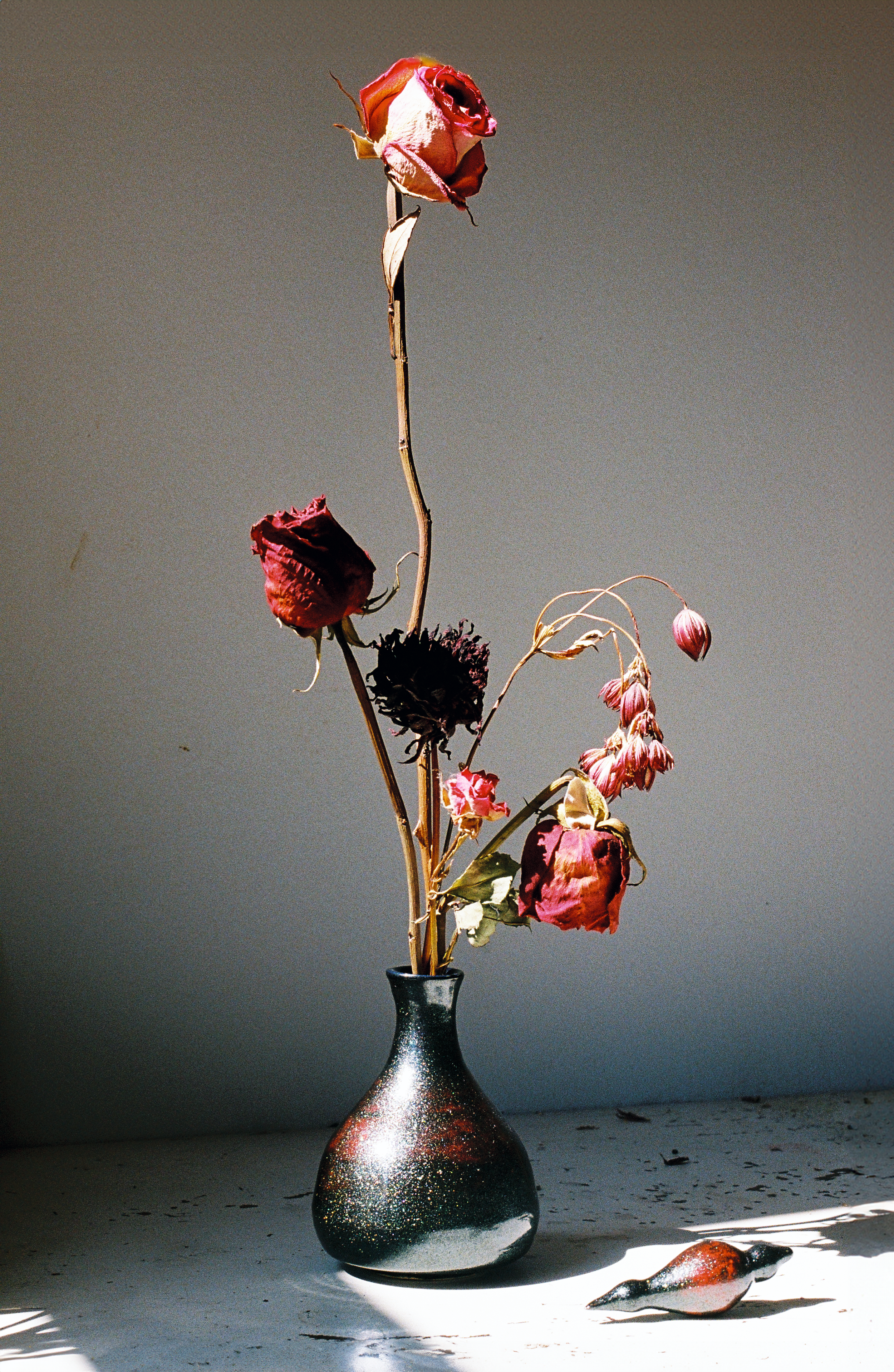 R1-02952-025A 5b.png