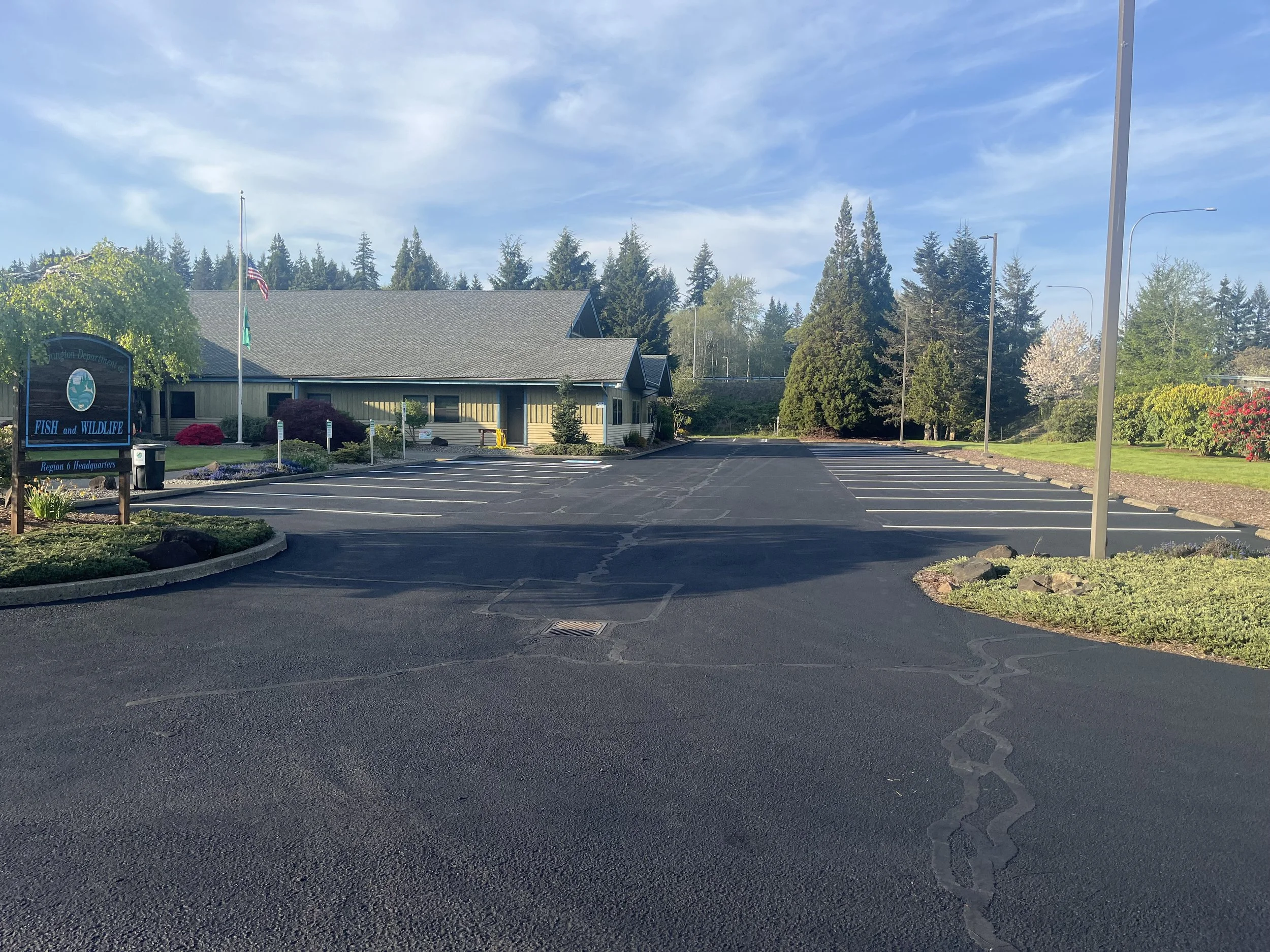 Empty parking lot in front of a Fish and Wildlife office building. The lot has marked parking spaces, a flagpole with a flag, and surrounding greenery with trees and bushes.