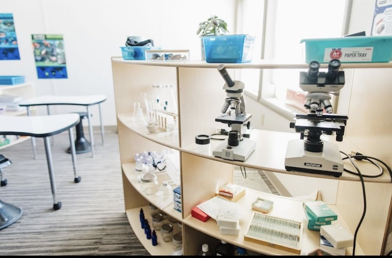 Science And Social Studies