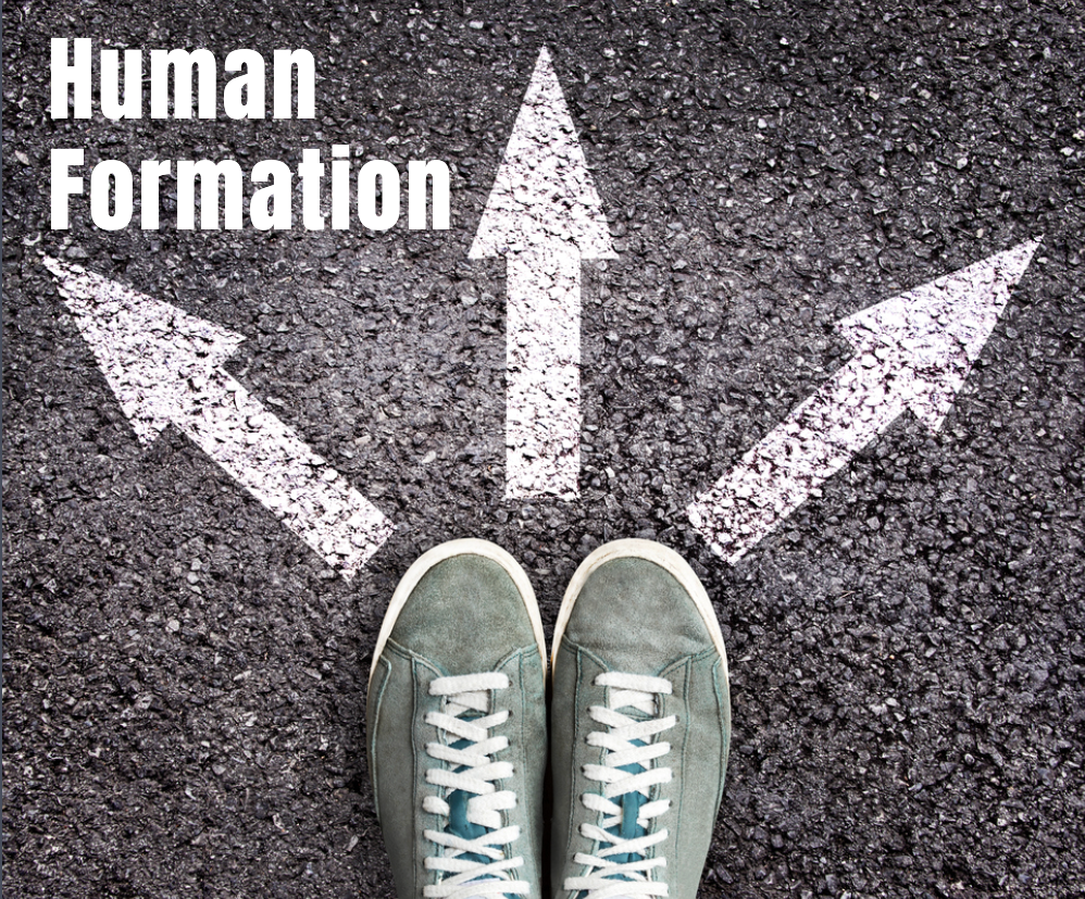 Research on Human Formation Published as Part of Organizational and Educational Models Initiative