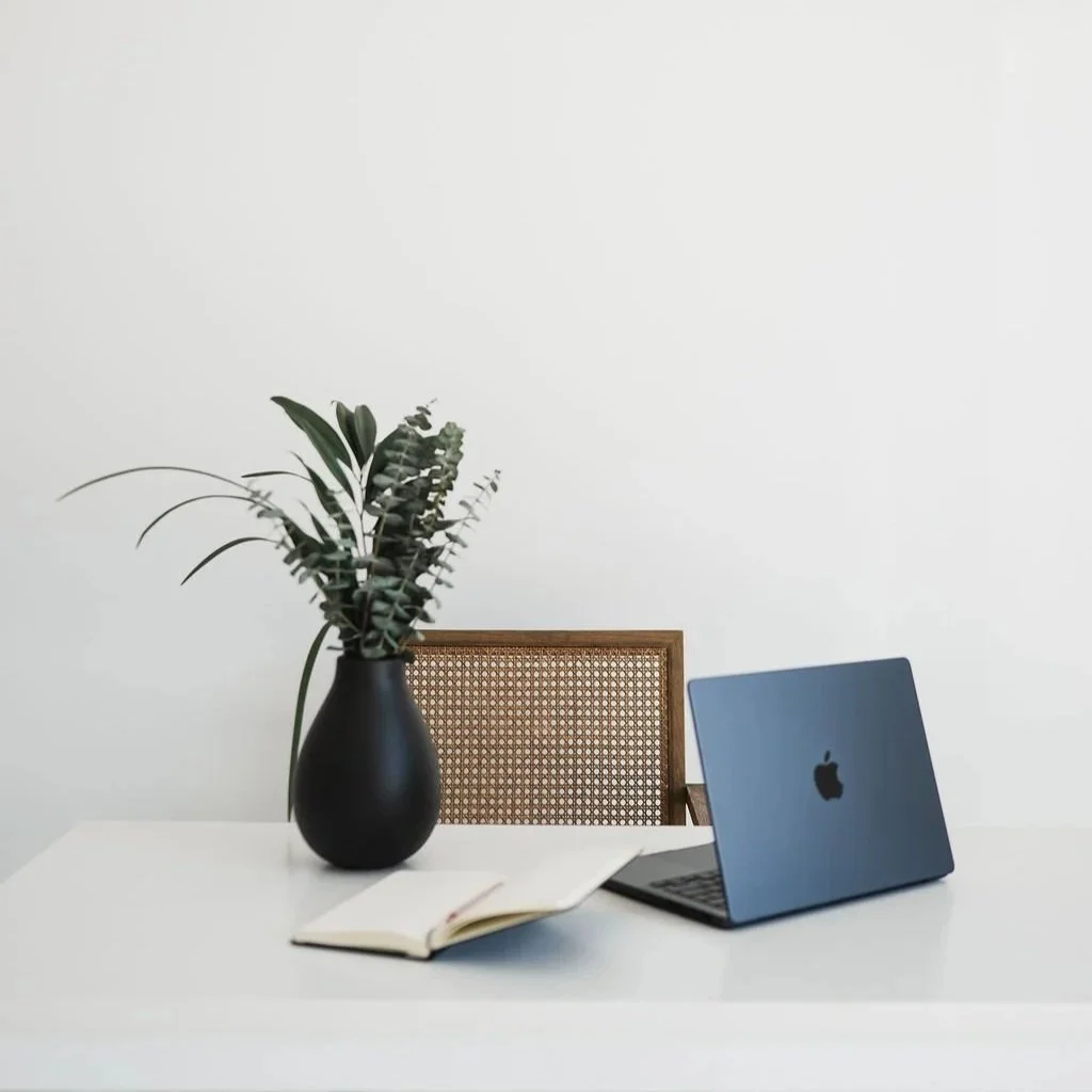 Photo of laptop on white desk with plants on the table