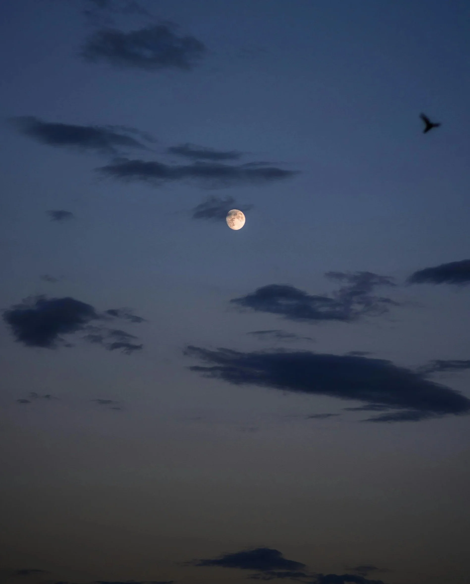 Photo of blue night sky with clouds and full moon