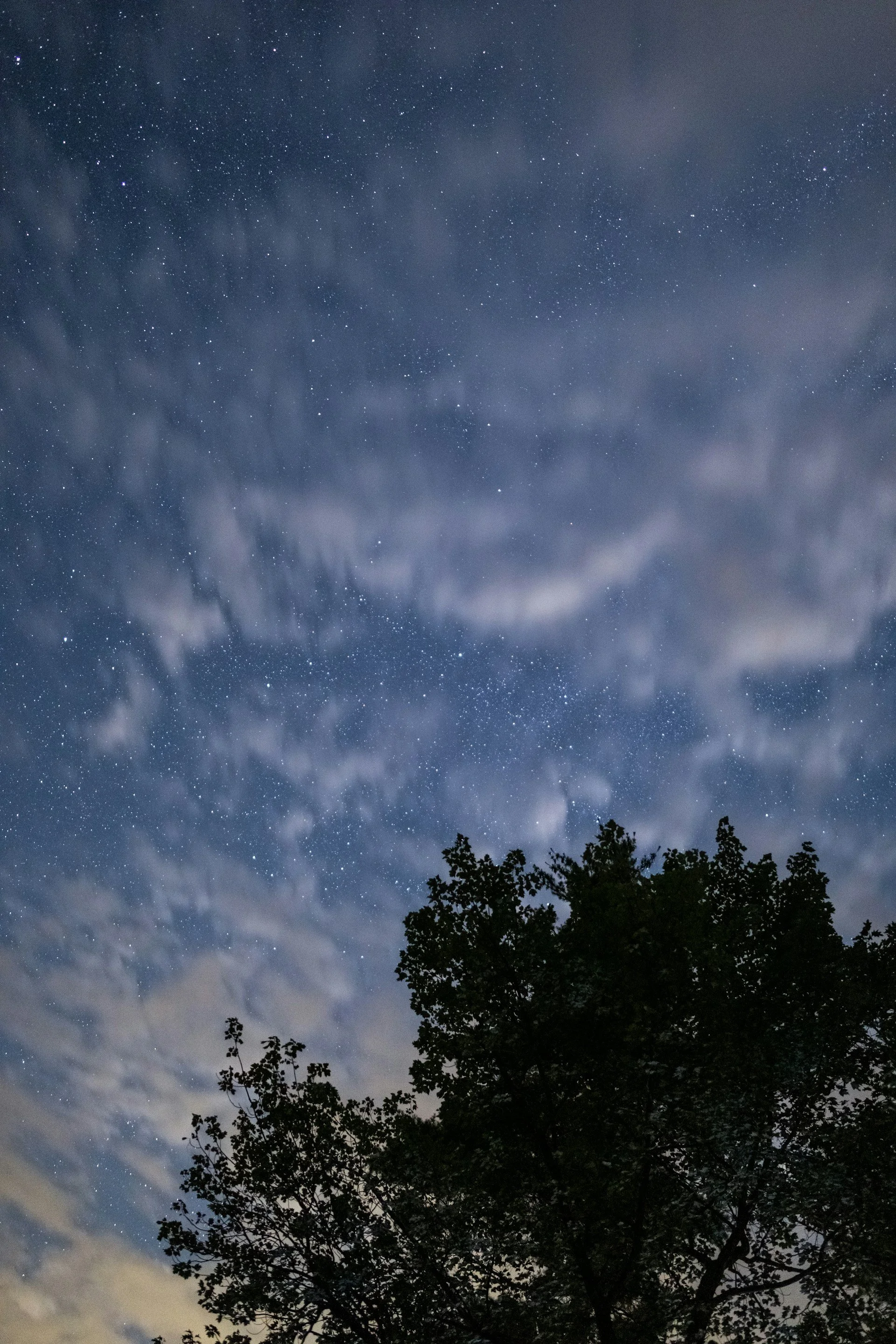 Photo of light blue night sky with stars in the sky