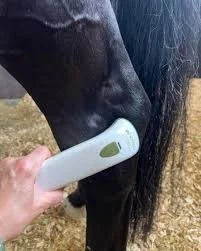 Physical Therapy with use of Photizo Red Light Therapy
