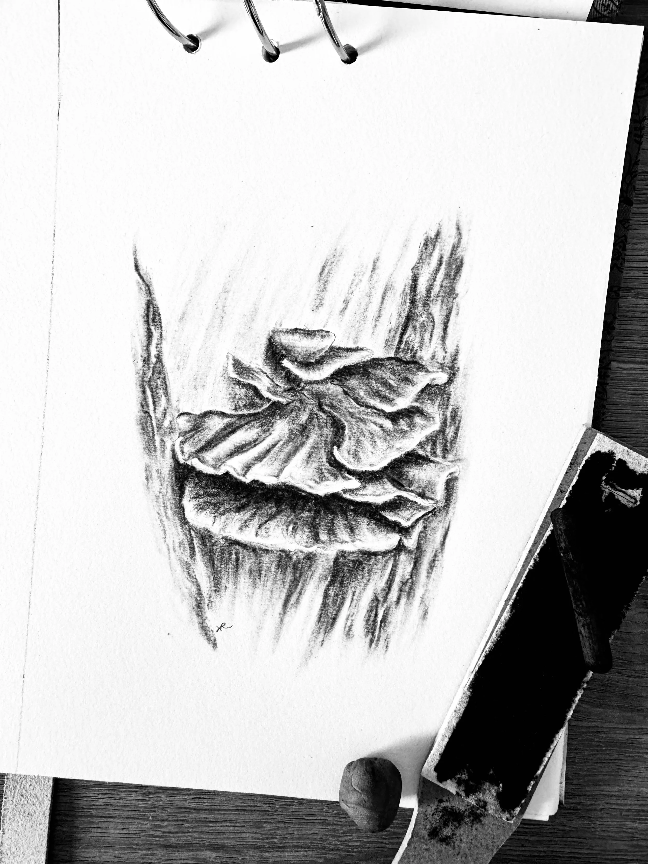 Chicken of the Woods