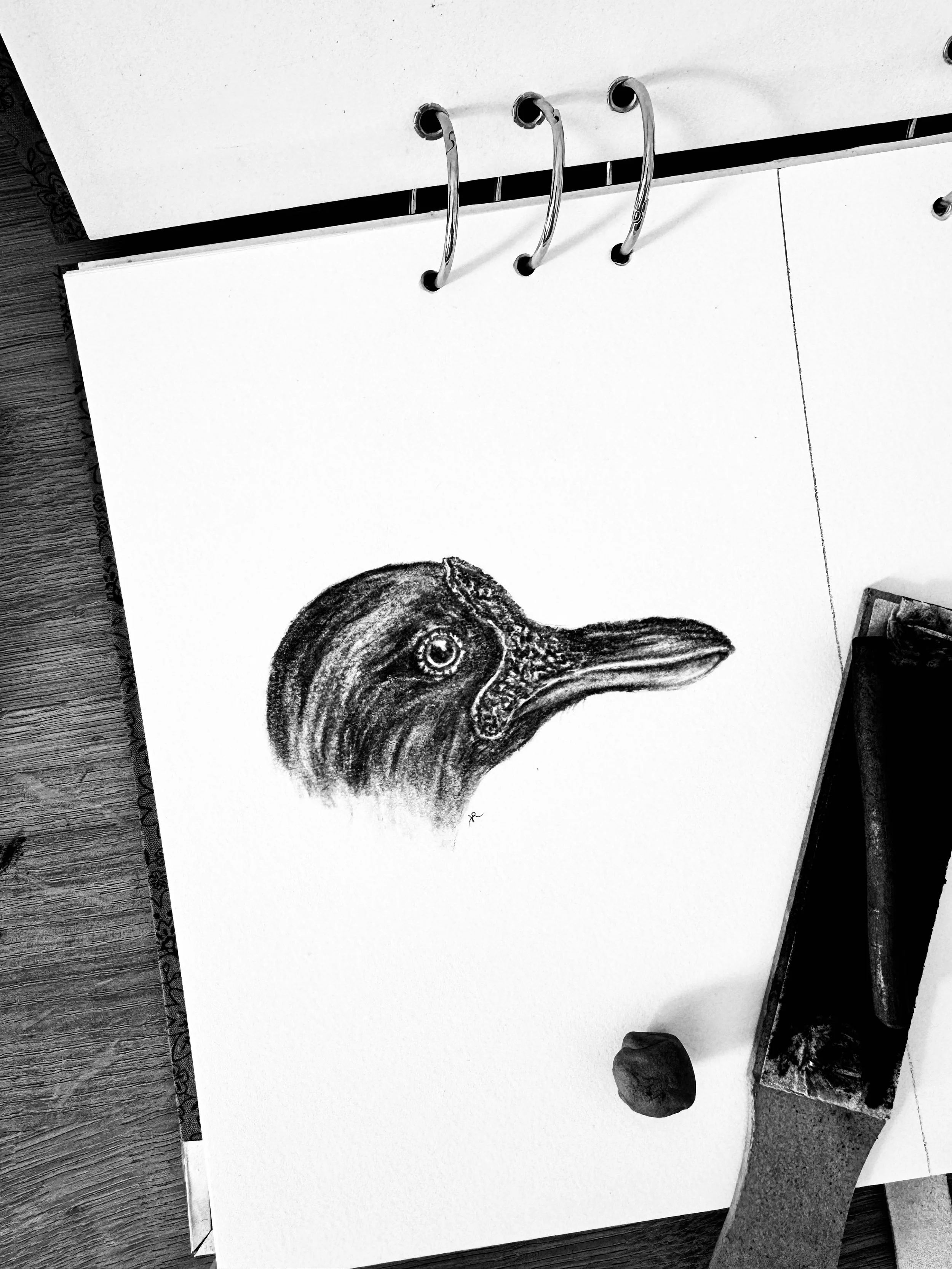 59_365_ Jacana.JPG