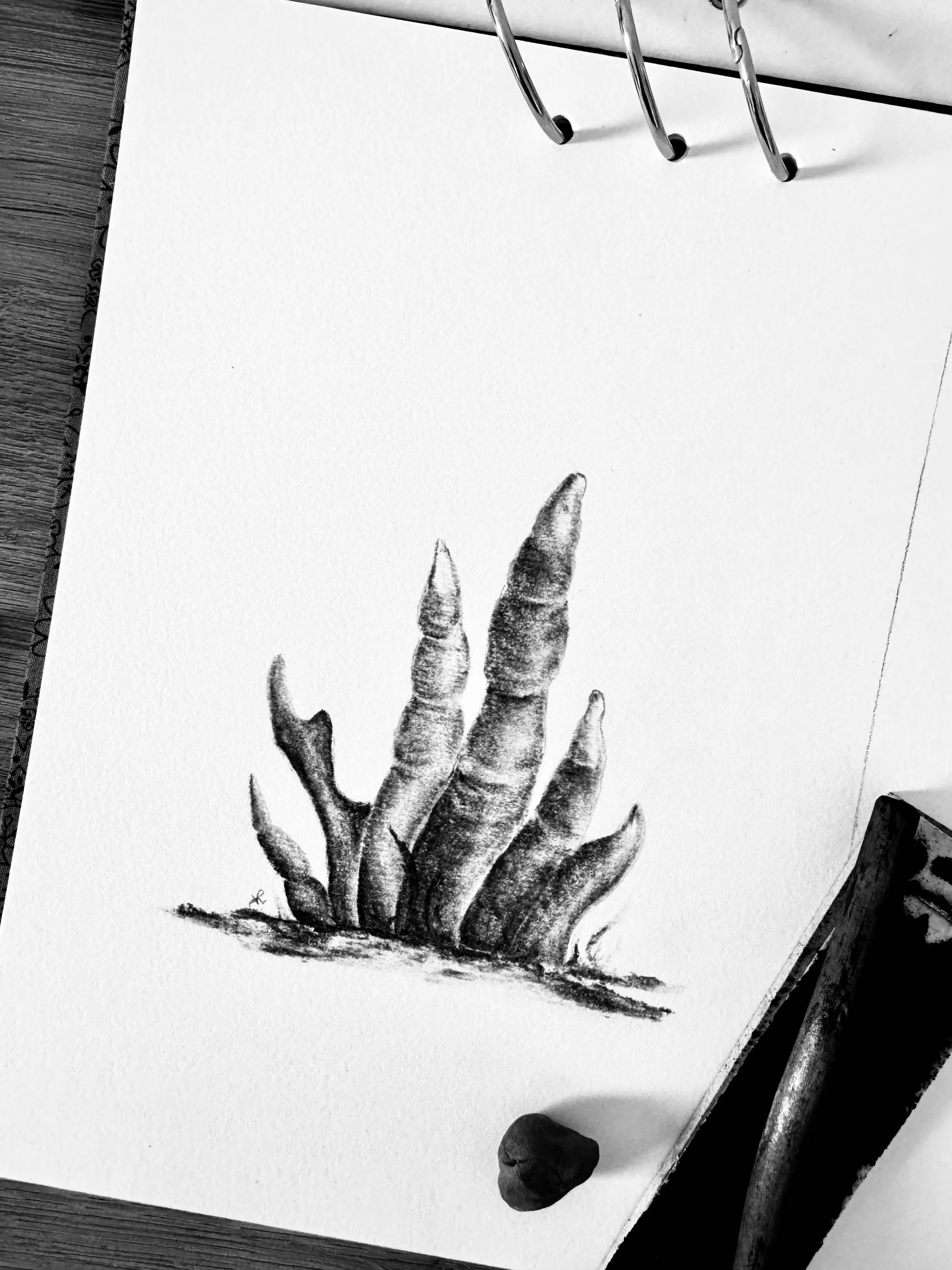 Dead Man's Fingers