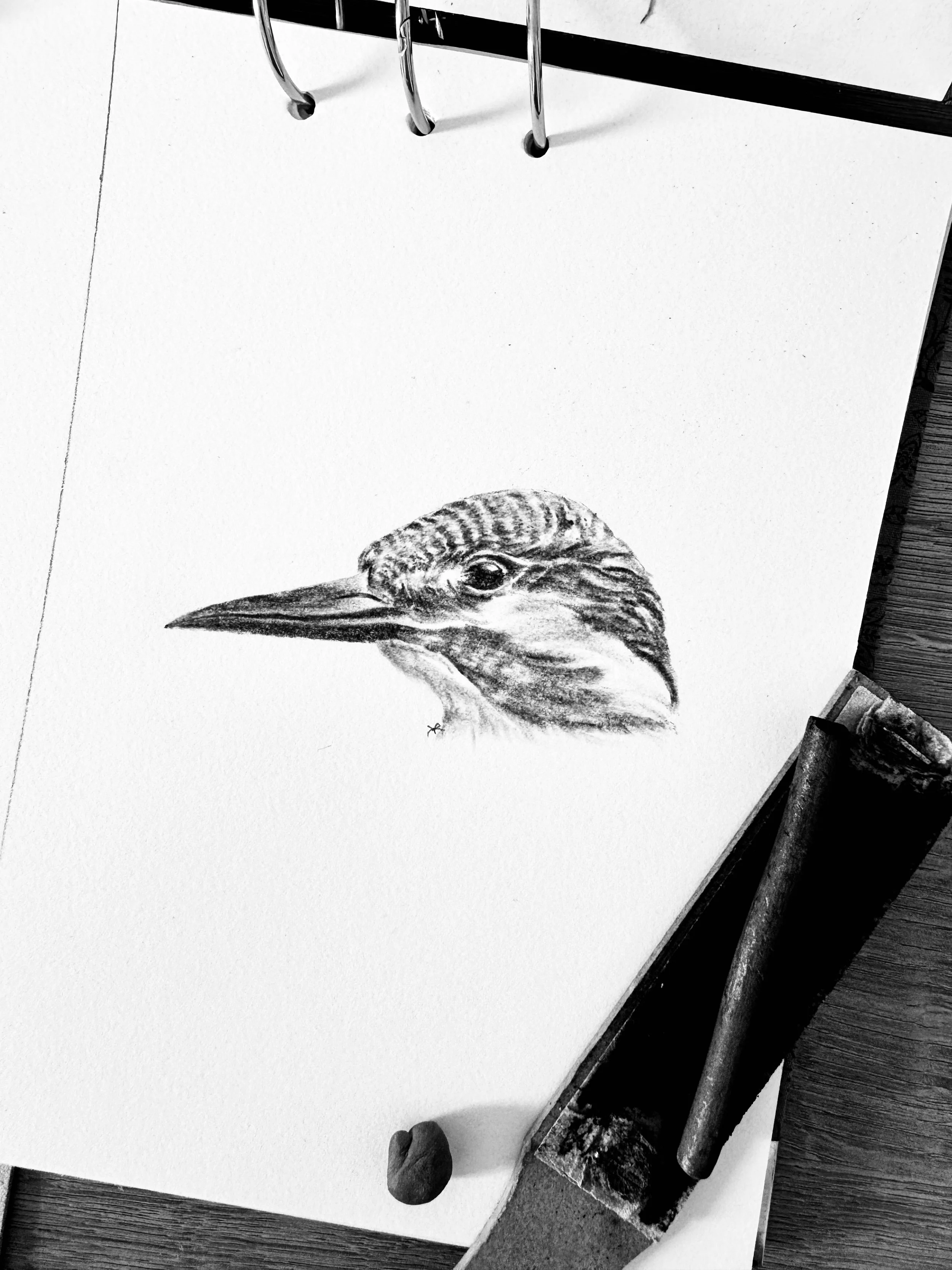 58_365_ Kingfisher.JPG