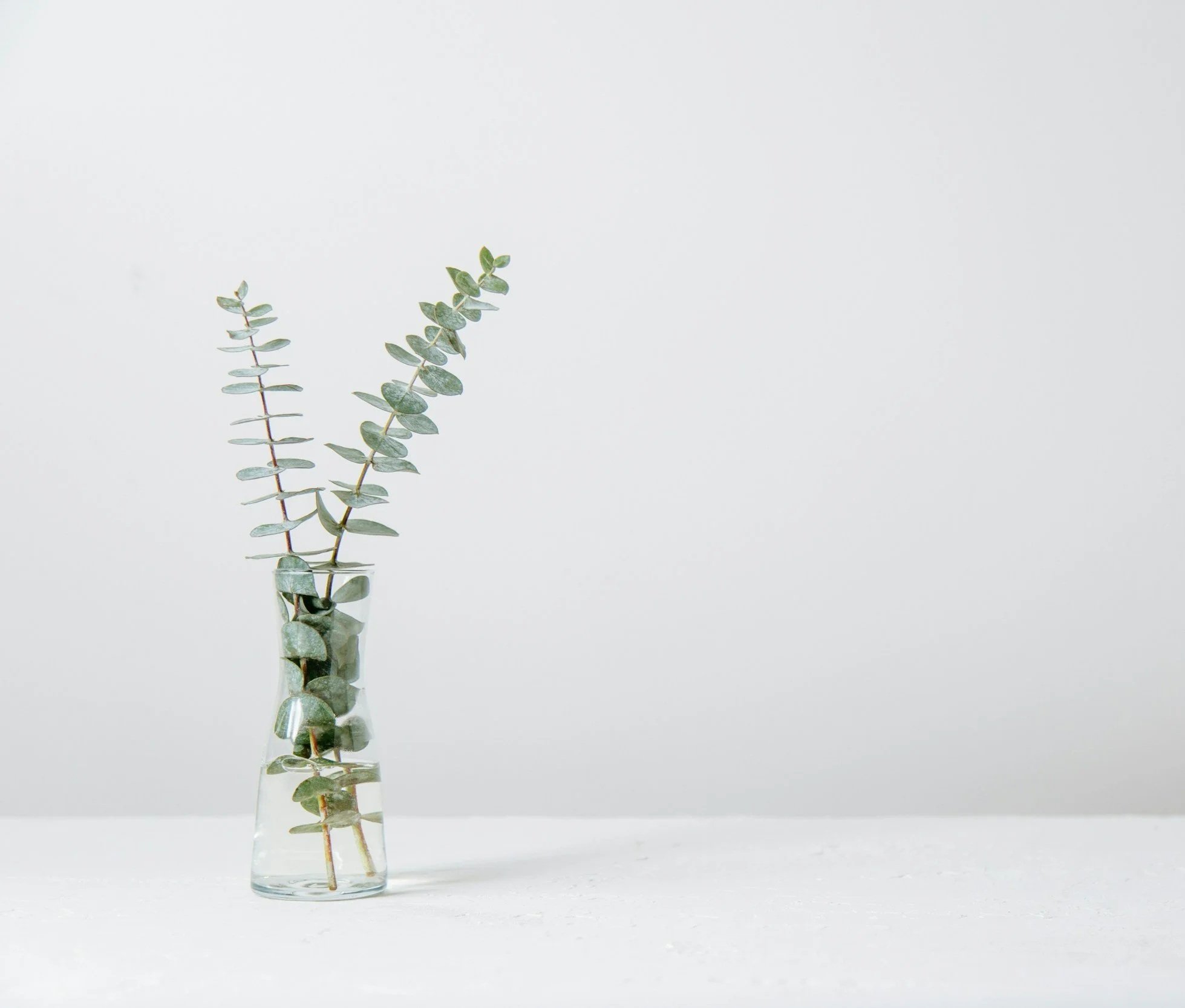 Eucalyptus branches in a clear glass vase on a white surface against a plain white background.