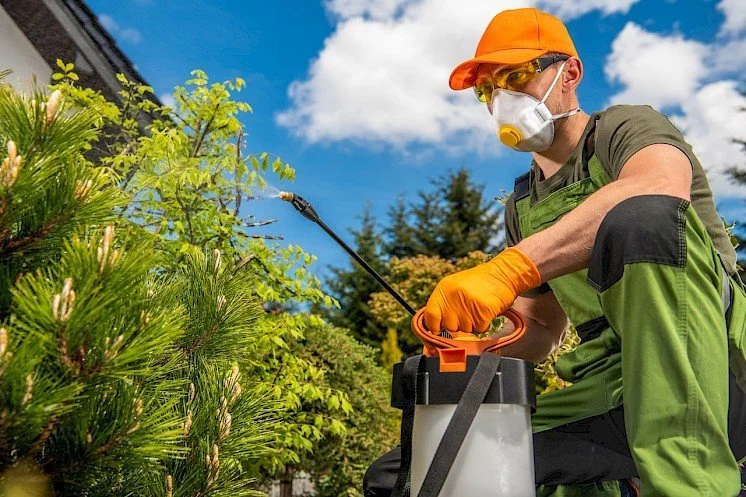 Phoenix Weed Control Services: The Future of Smart Weed Management