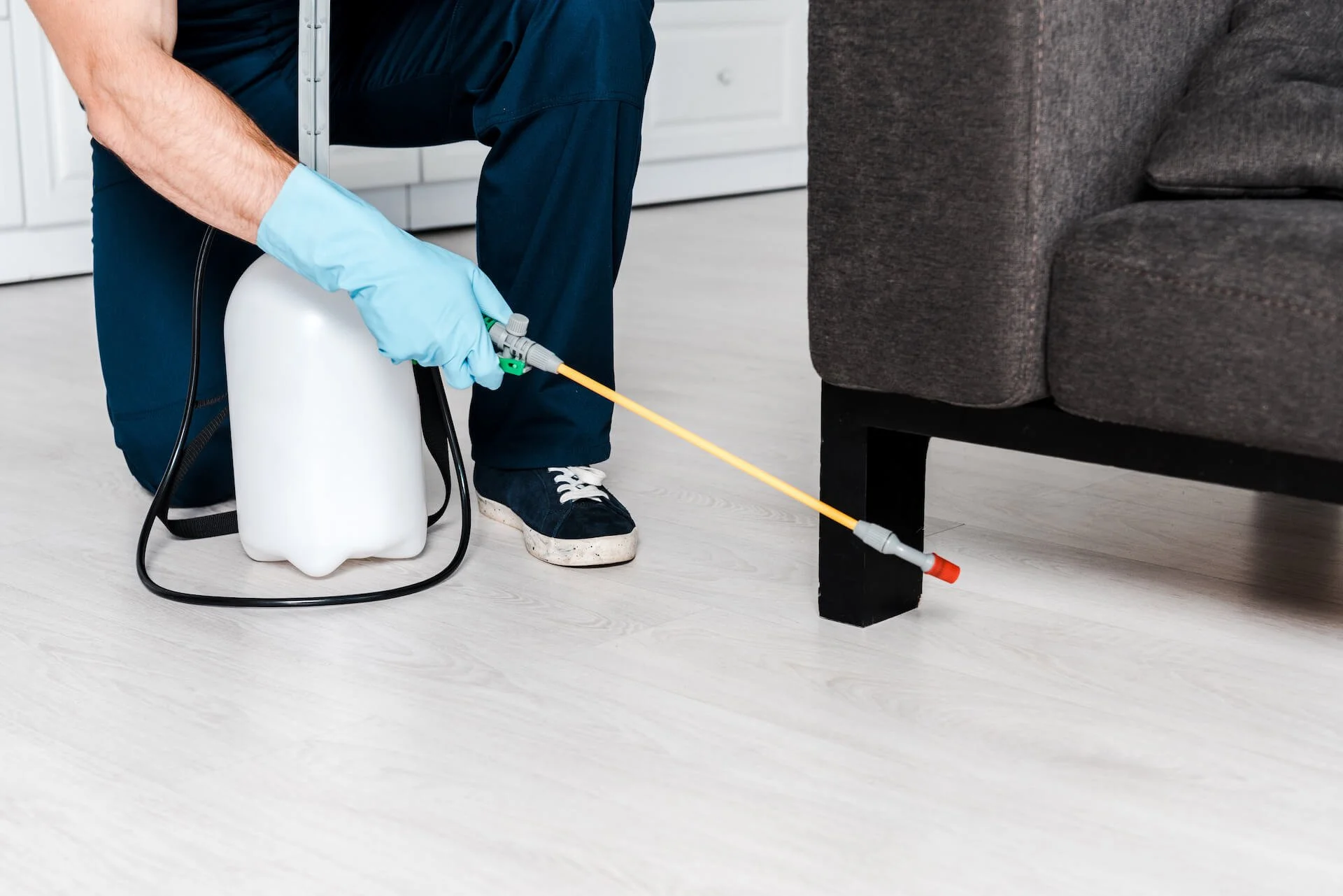 Is Pest Control Service in Arizona Expensive?