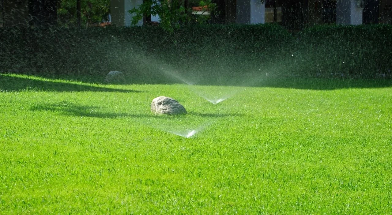 How to Water Your Lawn in the Phoenix Summer Heat