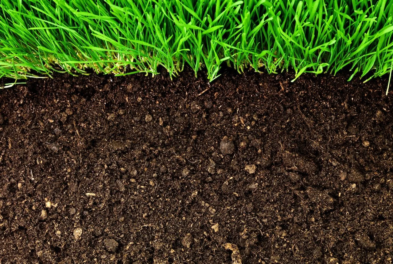 What Is Soil Conditioning?