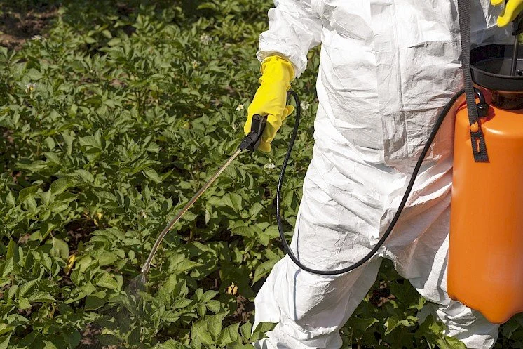 Do You Need Professional Weed Control? Signs It’s Time to Call the Experts