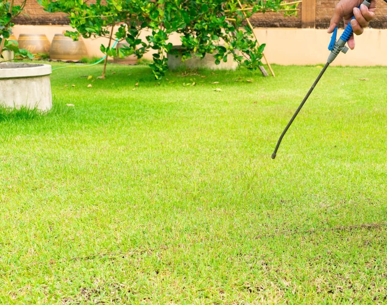 Why You Need Pre-Emergent Weed Spray Service