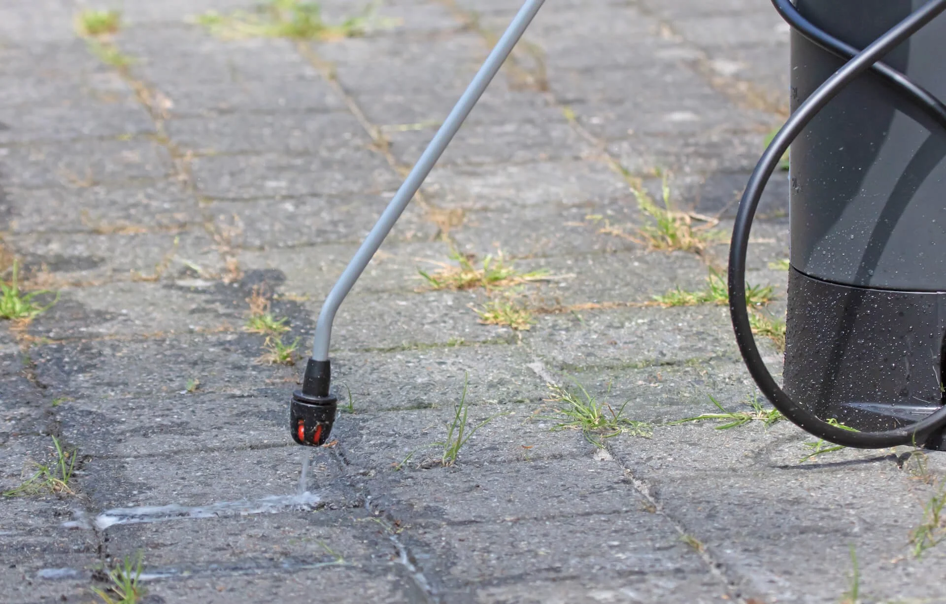 How Much Does Residential Weed Control Cost in Arizona?