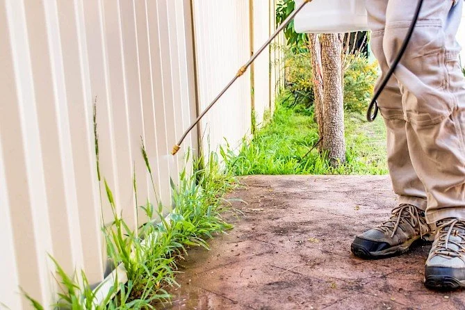 Weed Control Mistakes You Are Making