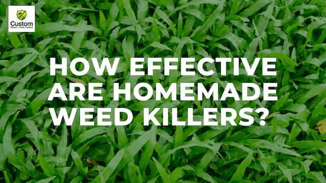 How Effective are Homemade Weed Killers?